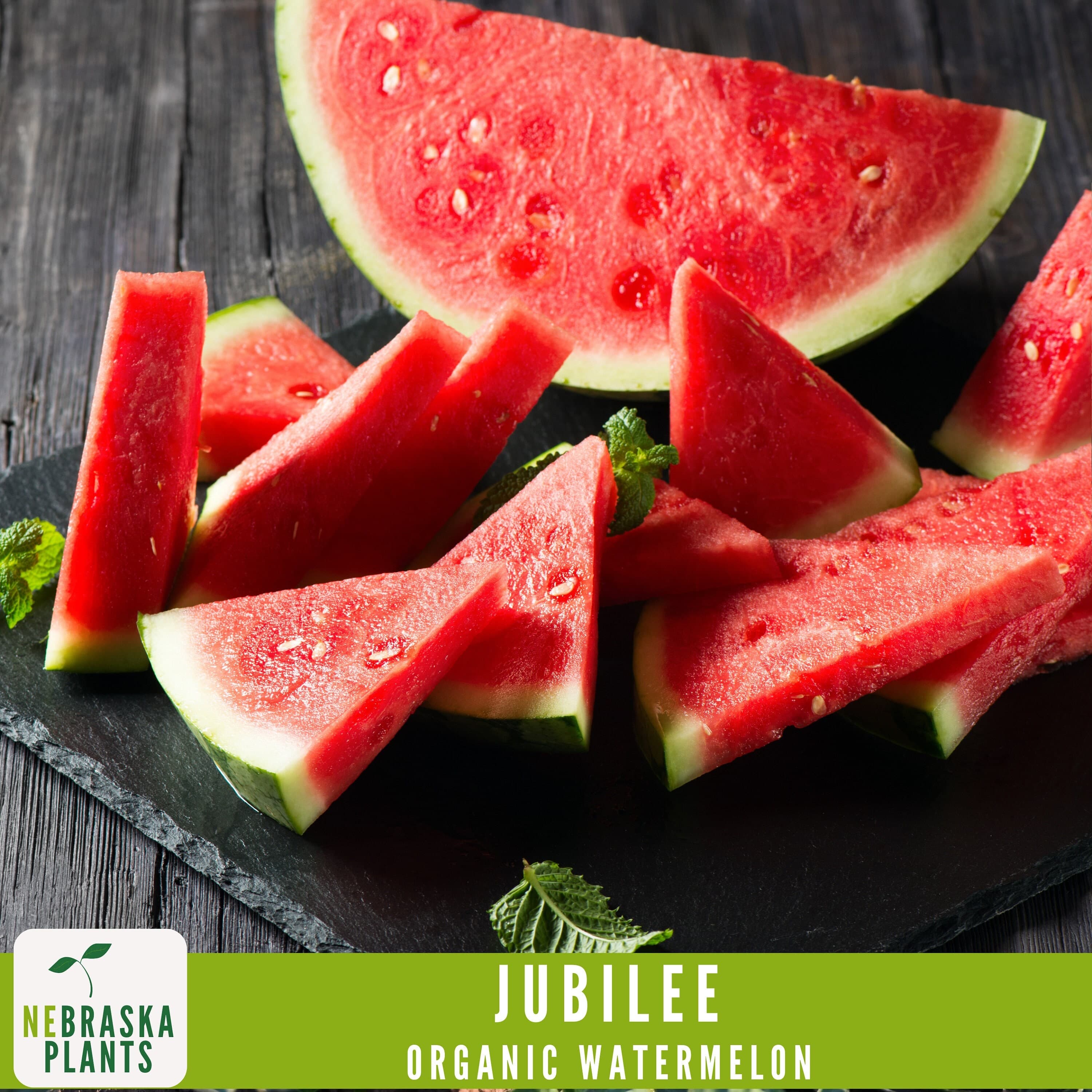 Organic Jubilee Heirloom Watermelon Seeds - Sweet, Juicy, and Perfect for Your Summer Garden! - image 4