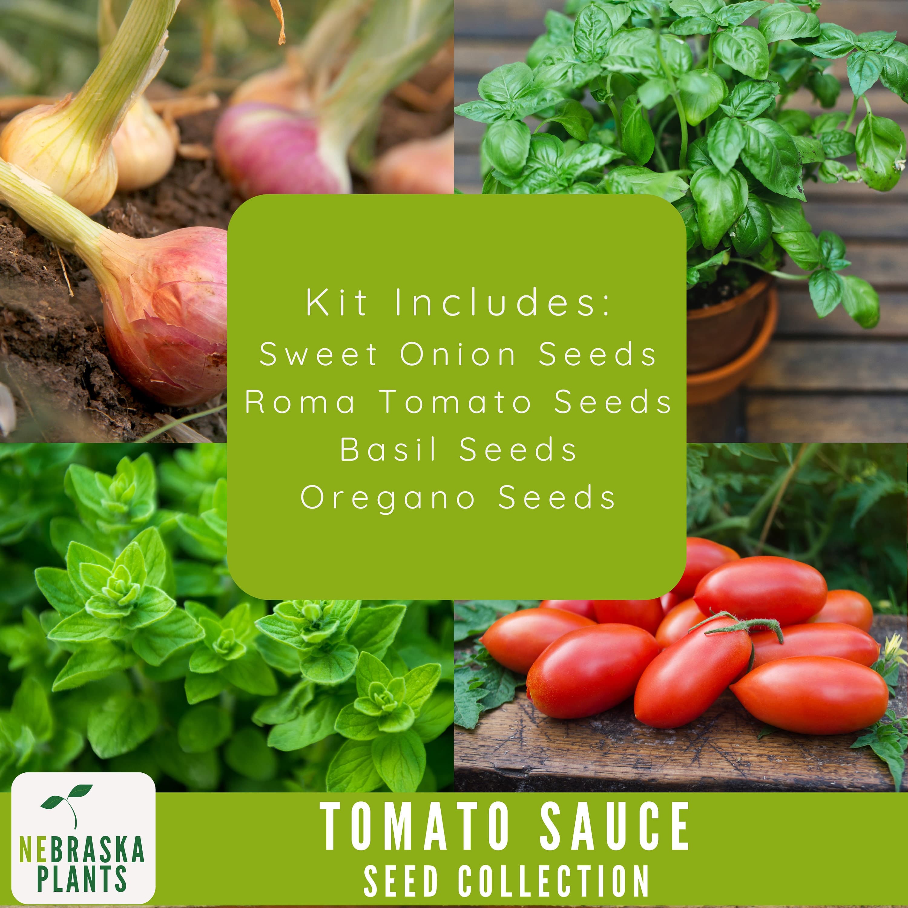 Pizza and Pasta Tomato Sauce Mix - Heirloom Seed Collection - Roma Tomato Seeds - Sweet Onion Seeds - Basil Seeds - Oregano Seeds - image 3