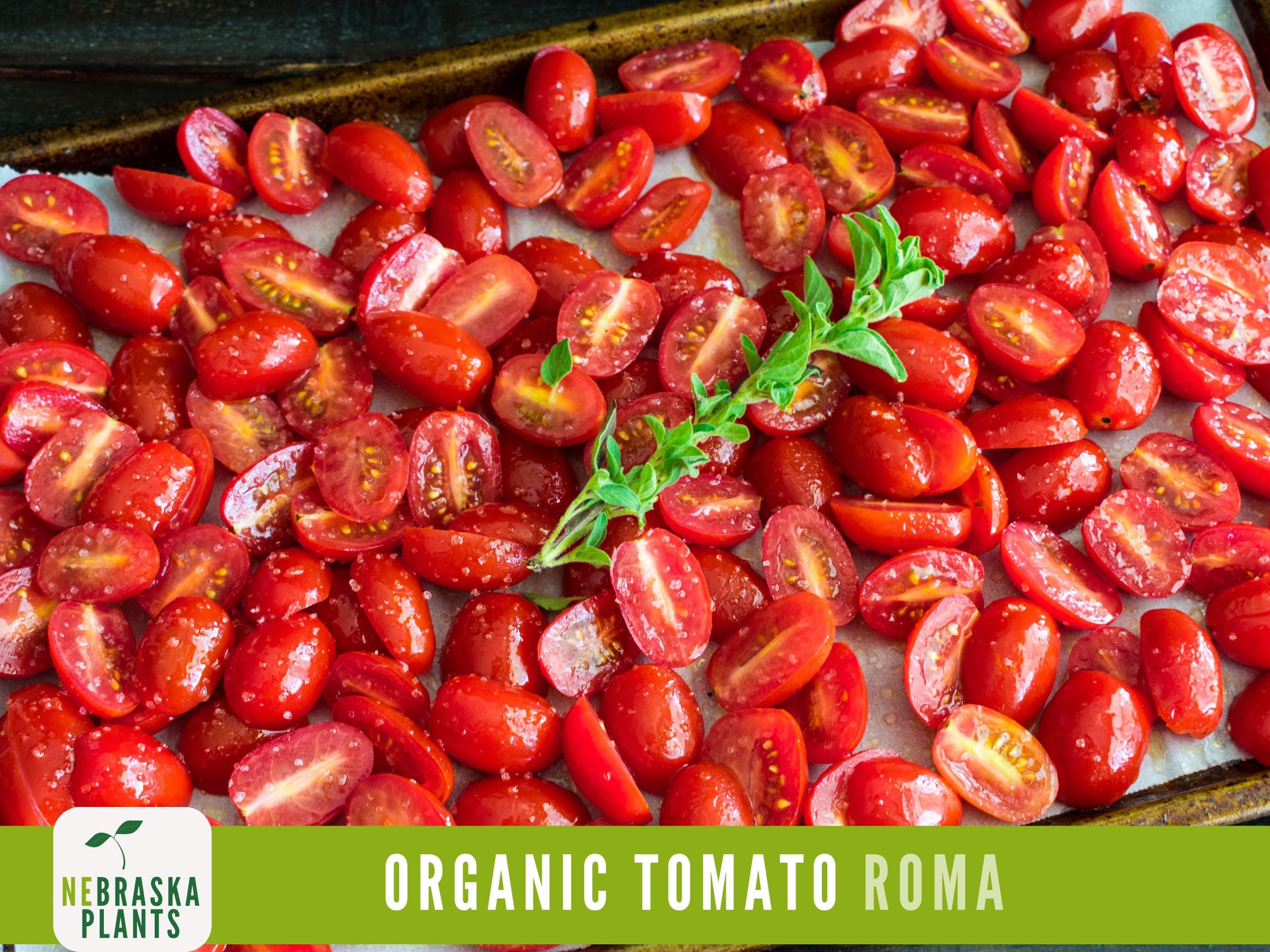 Organic Roma Tomato Seeds - Heirloom Tomato Seeds - image 5