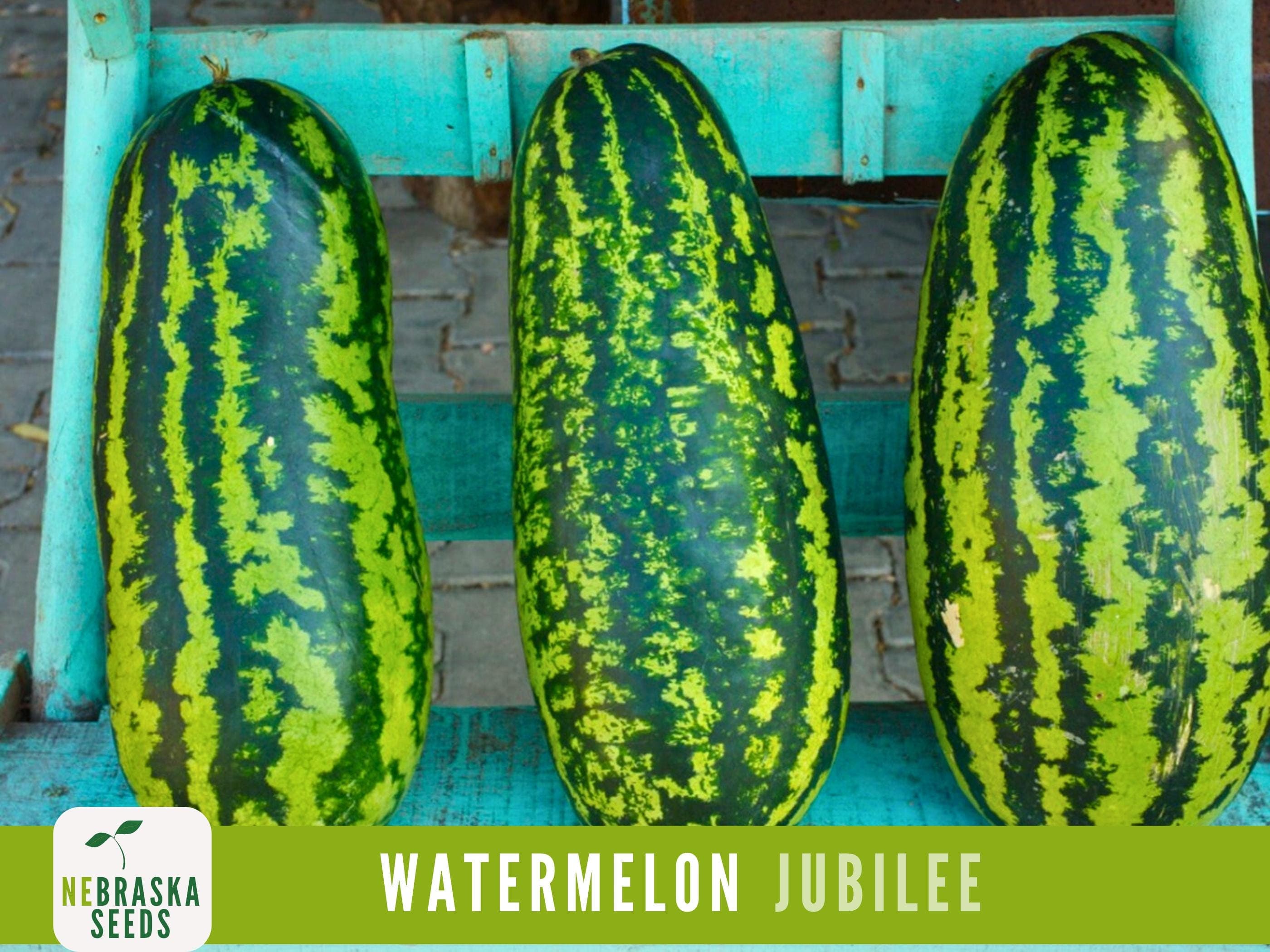 Watermelon Seeds - Jubilee Watermelon Heirloom Seeds