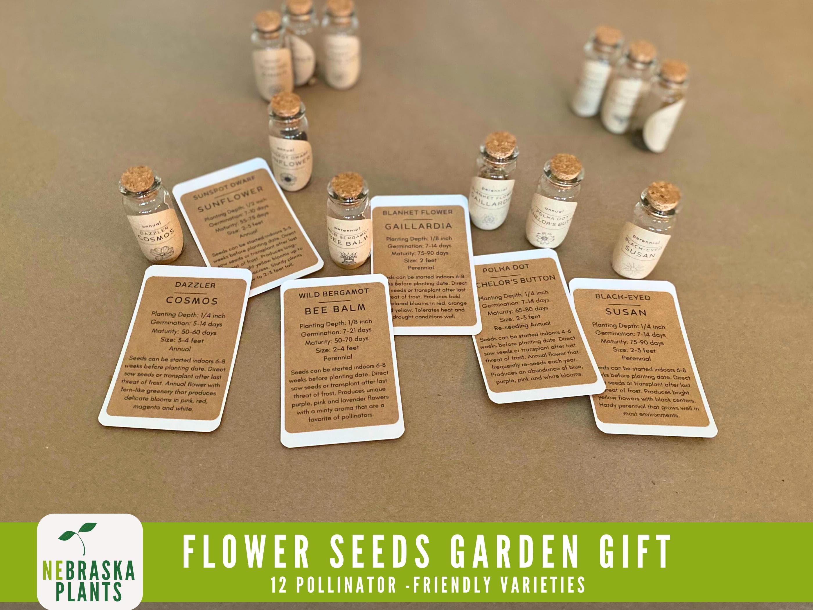 Wildflower and Perennial Seed Collection for a Thriving Pollinator Garden