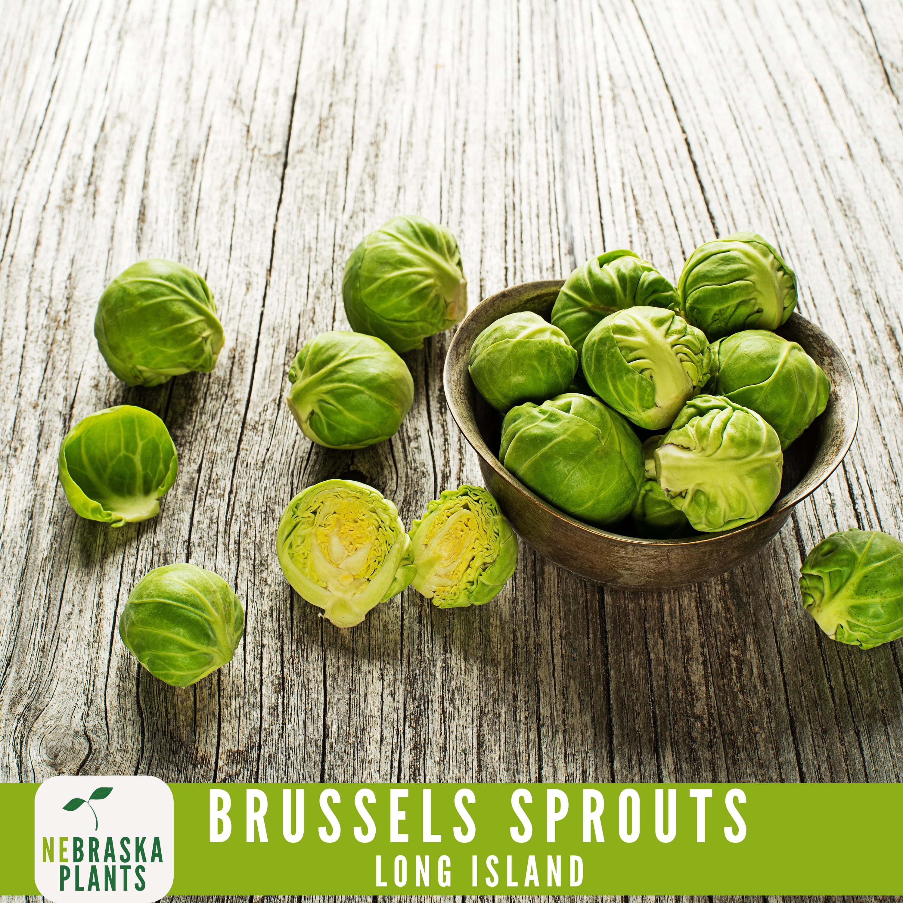 Long Island Brussels Sprouts Seeds - 100+ Heirloom, Non-GMO, Premium Seeds for a Bountiful Harvest! - image 5