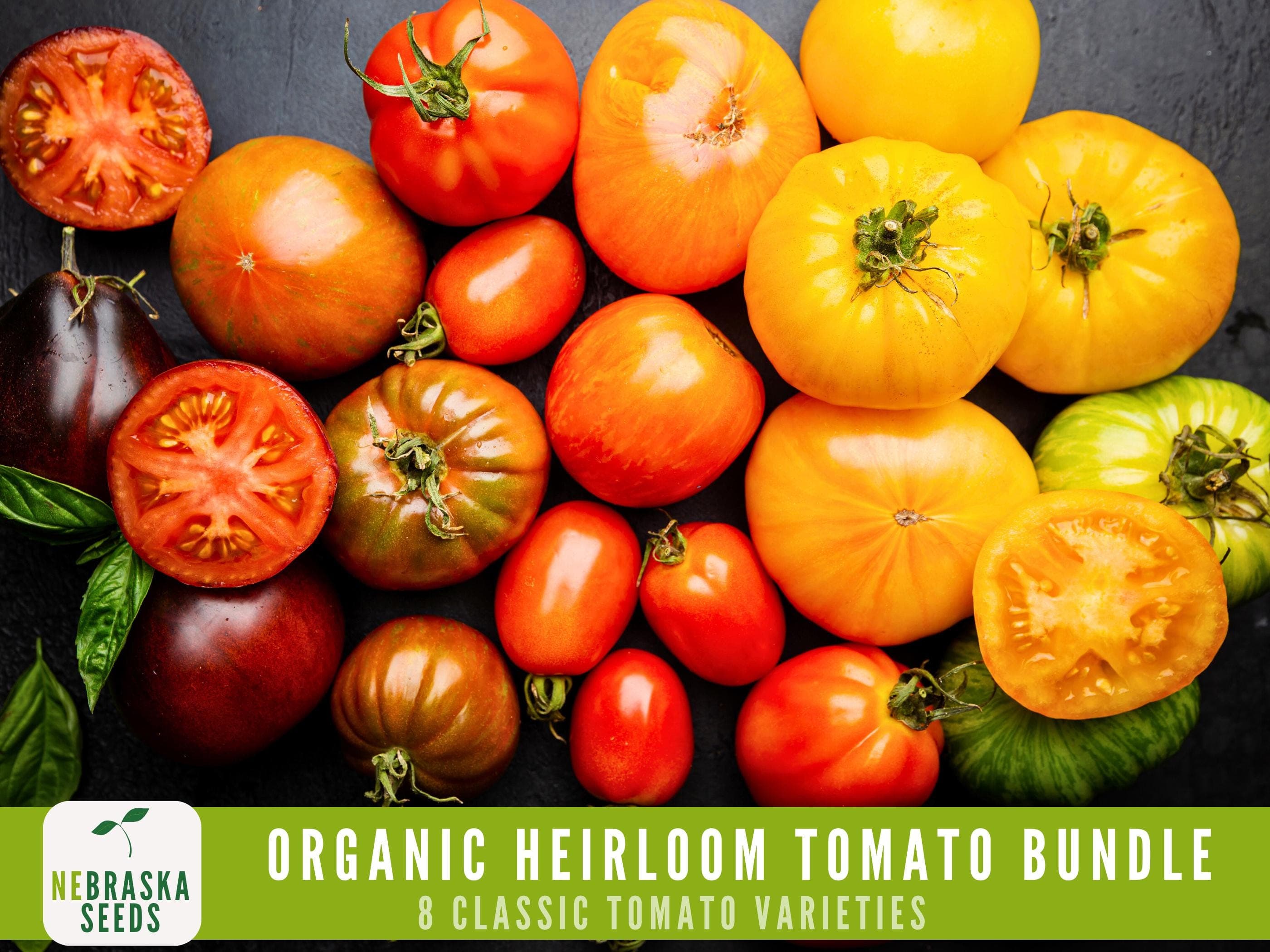 Organic Tomato Seed Collection – 8 Classic Heirloom Garden Tomatoes!