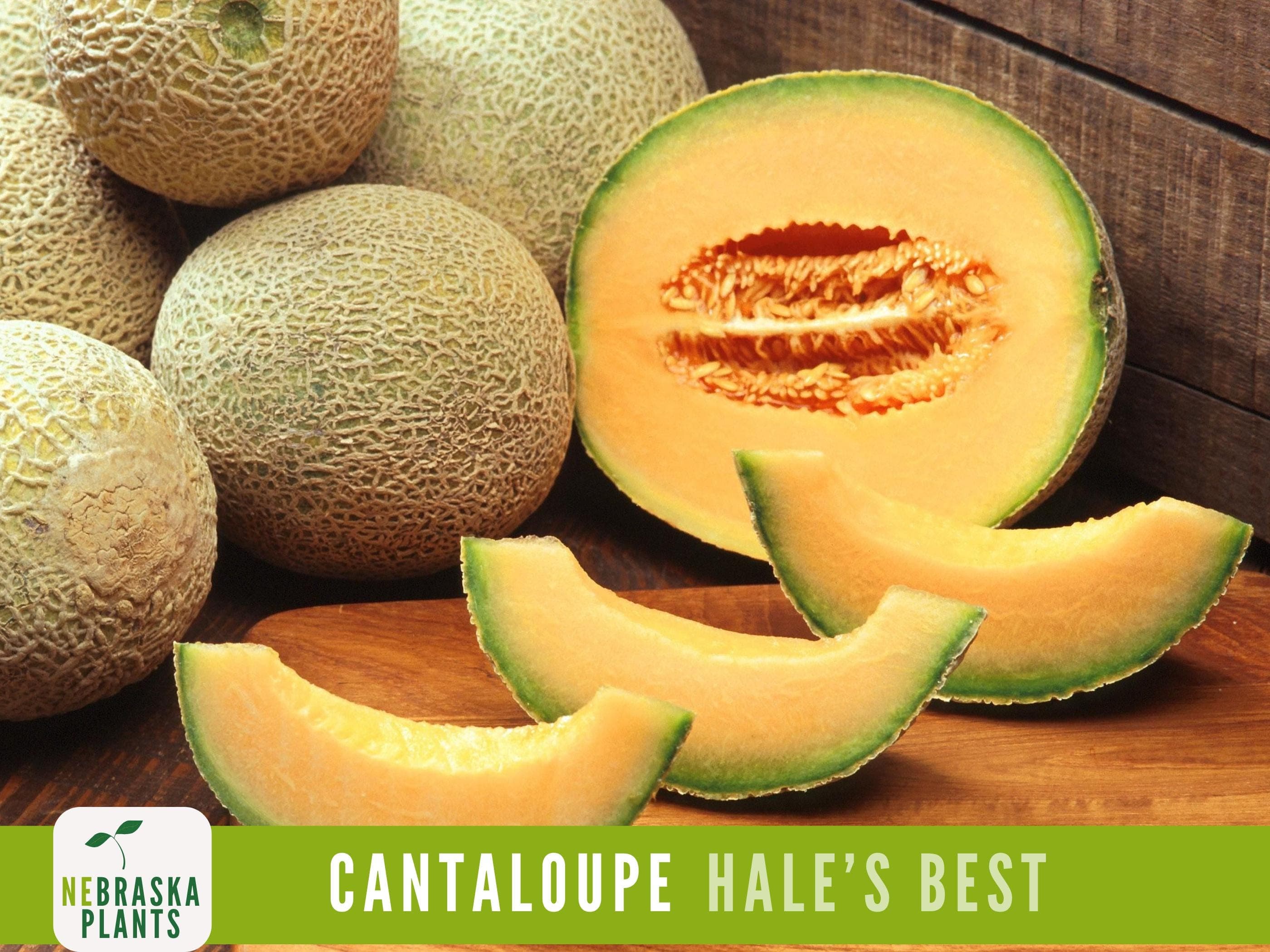 Hale's Best Cantaloupe Seeds - Jumbo Heirloom Cantaloupe Seeds - image 3