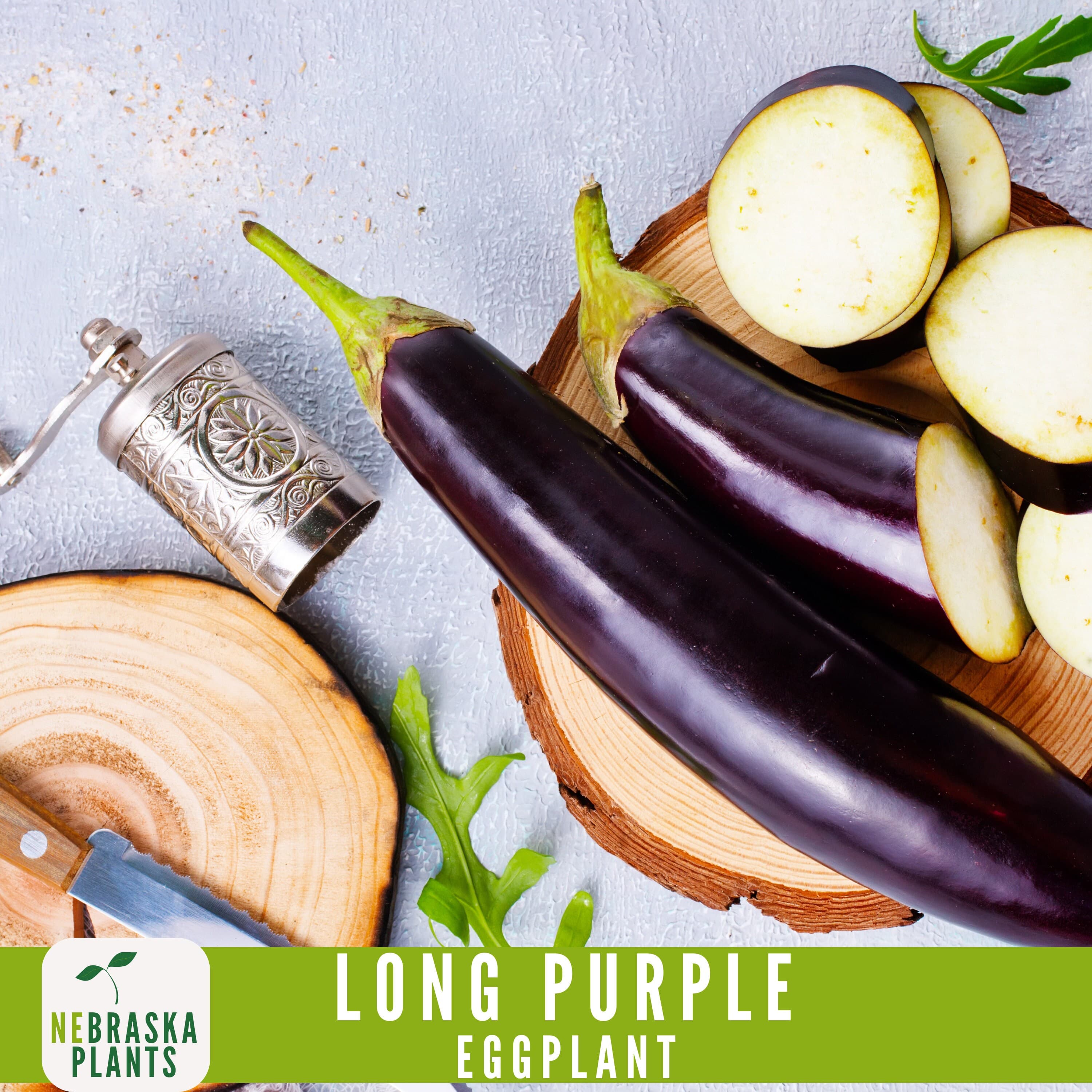 Long Purple Eggplant Seeds - Heirloom Eggplant for Your Garden! - image 5