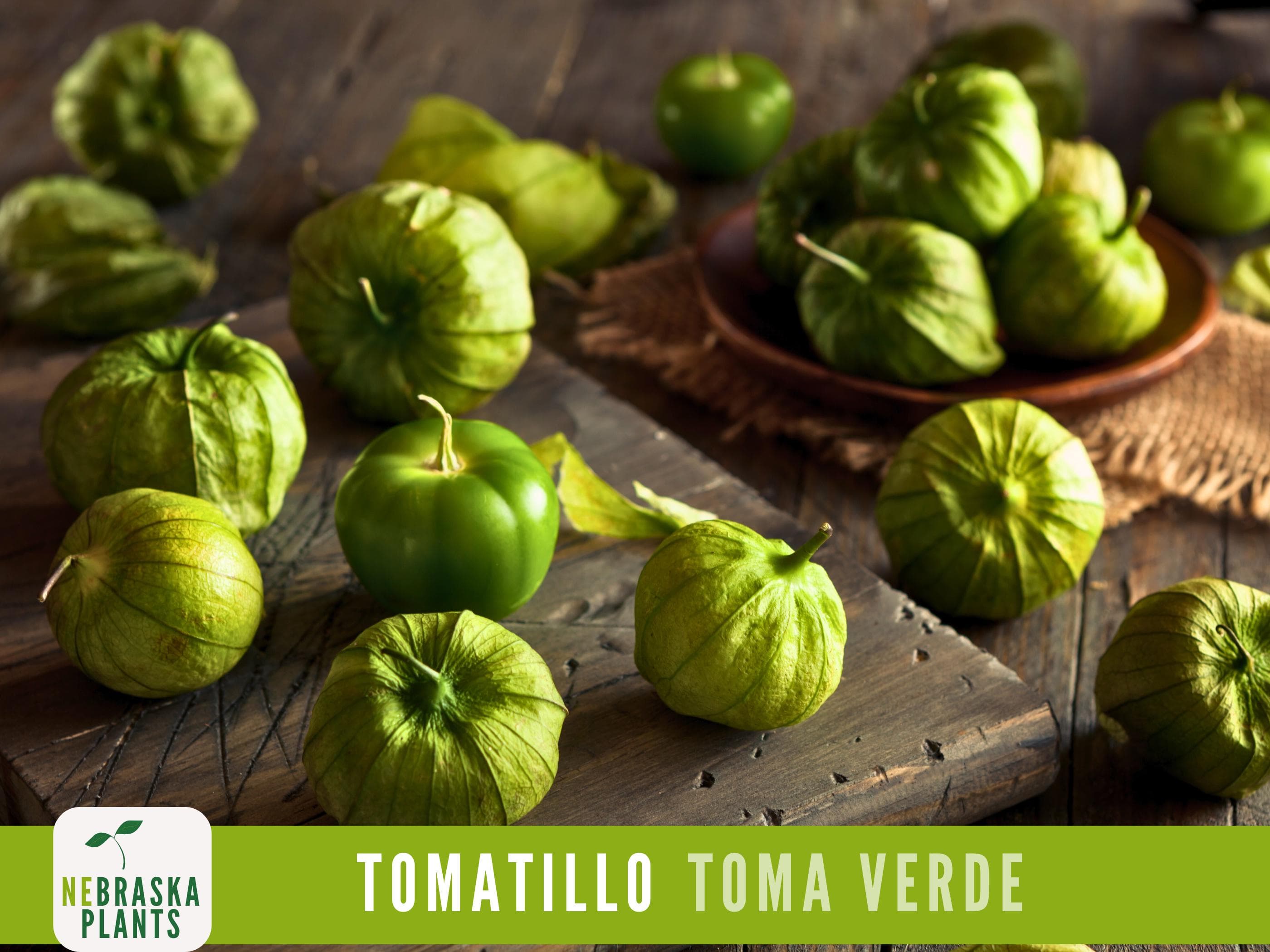 Tomatillo Seeds - Toma Verda Heirloom Garden Seeds - image 5