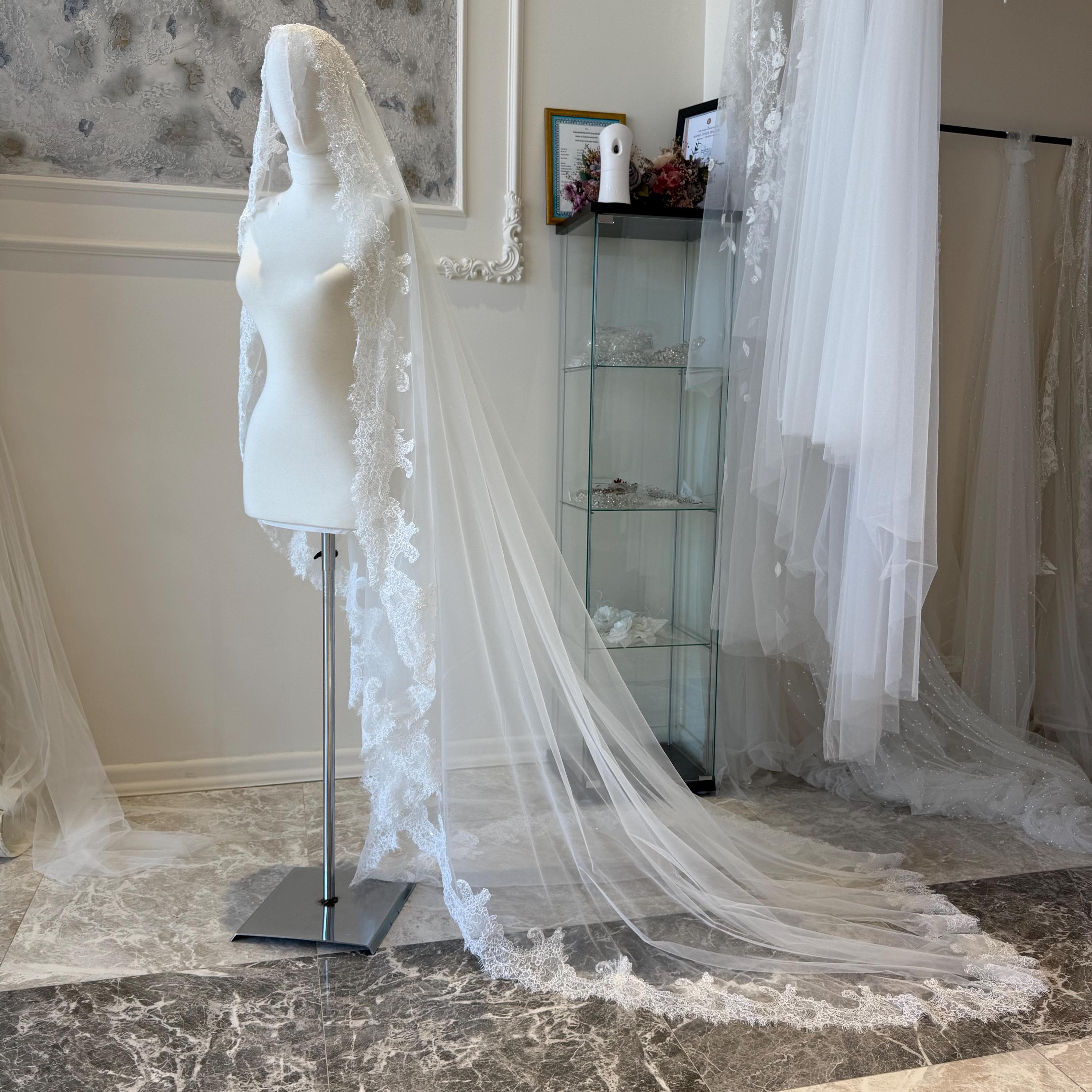 Lace Trim Tulle Bridal Veil | Elegant Long Wedding VeiL