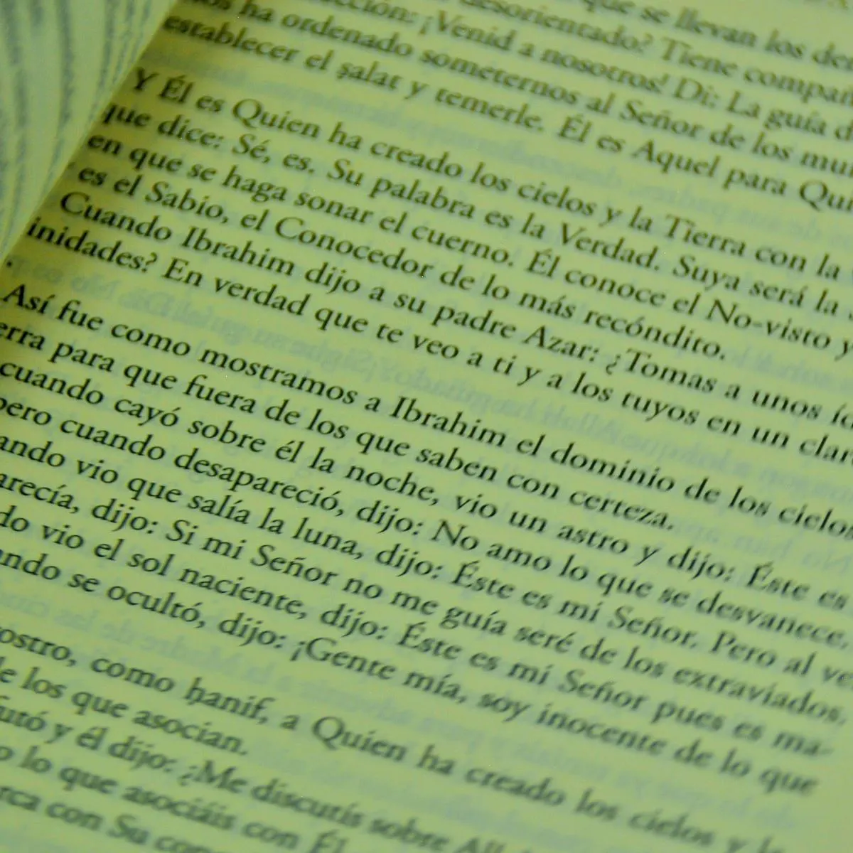 Brown Golden Arabic and Spanish translate double language Muslim Quran pray Book.
High quality custom conversion gift to new Spanish Muslim gift.
Bi language error free, easy to read, published in turkey, book for Spain people.
Spanish language Muslim pray book gift.
High quality Arabic and Spanish translation THE QUR'AN with surah introduction and appendices.
Whole quran book.