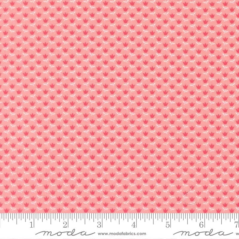 Cat Named Stitch- Blush- 55347 17- Moda Fabrics by Camille Roskelley