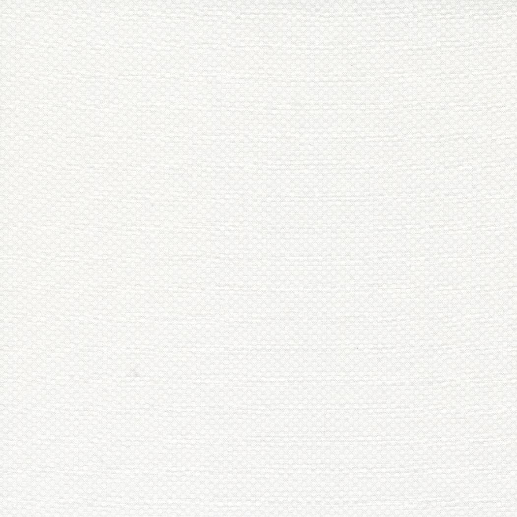 Coriander Seeds- White- 29149 11- Moda Fabrics by Corey Yoder - image 3