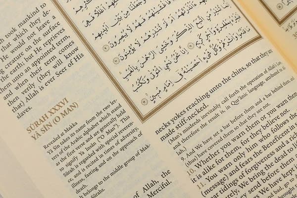 Holy Quran with English Translation | Arabic&English Qur’an | Arabic text English Translation Koran | English Translation Holy Quran - image 4