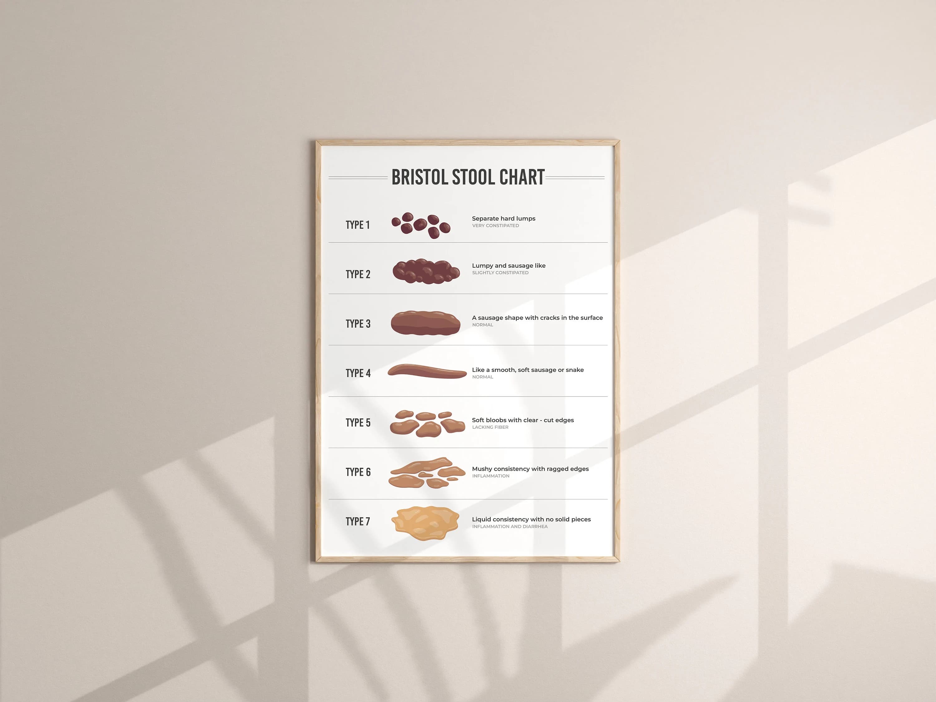 Bristol Stool Chart | Digestive Health Guide (Digital Download) - image 5