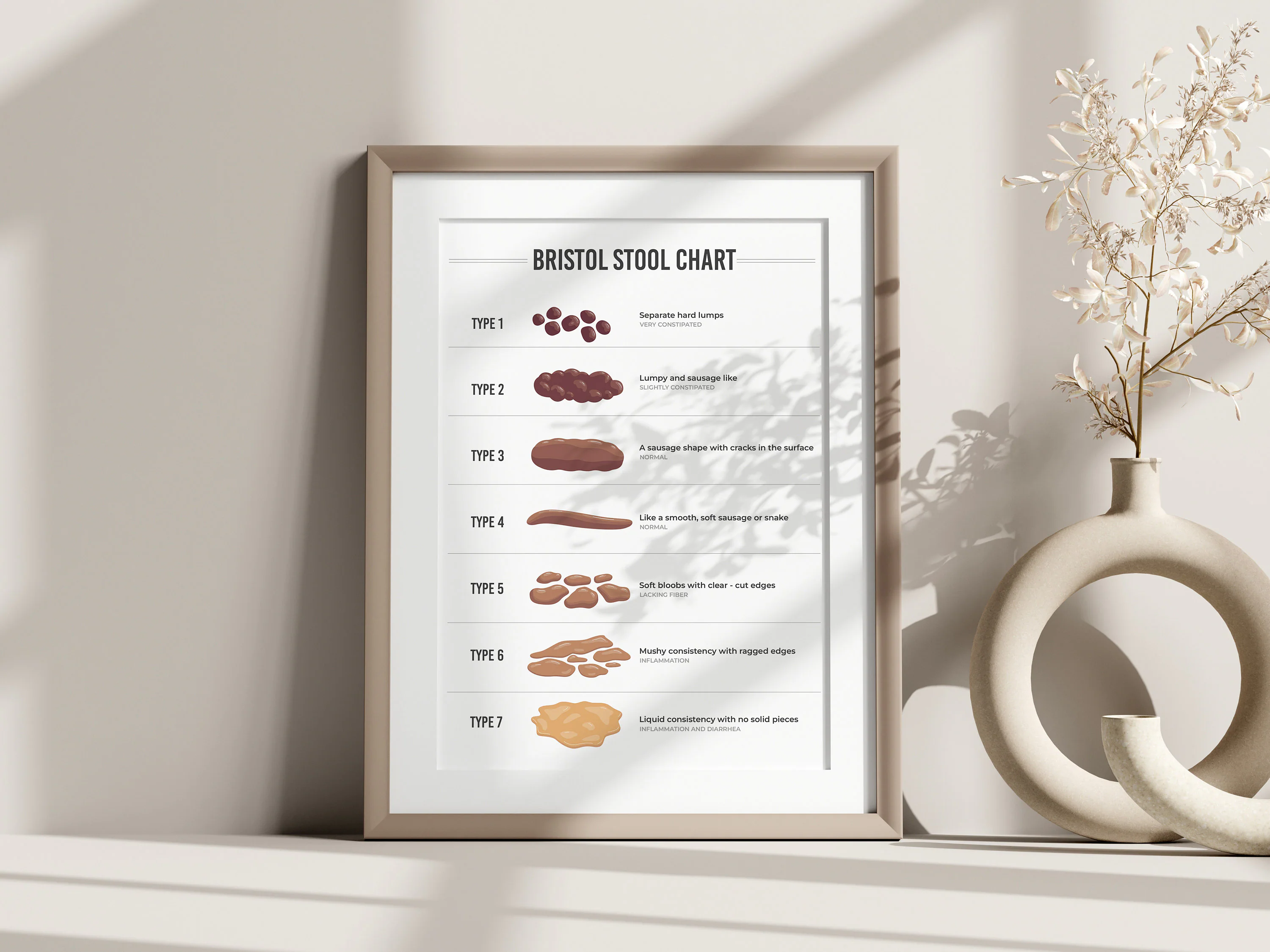 Bristol Stool Chart | Digestive Health Guide (Digital Download) - image 4