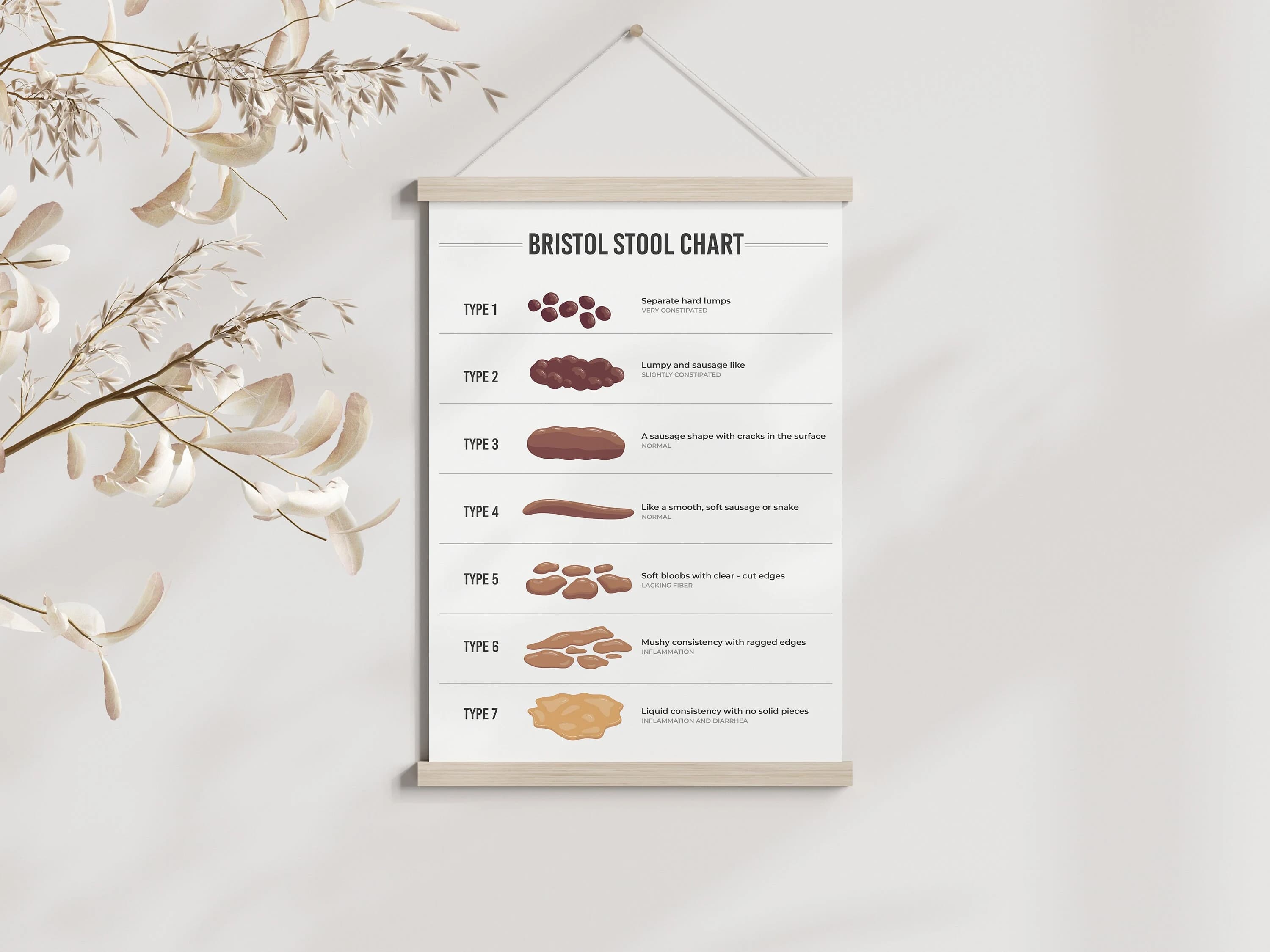 Bristol Stool Chart | Digestive Health Guide (Digital Download)