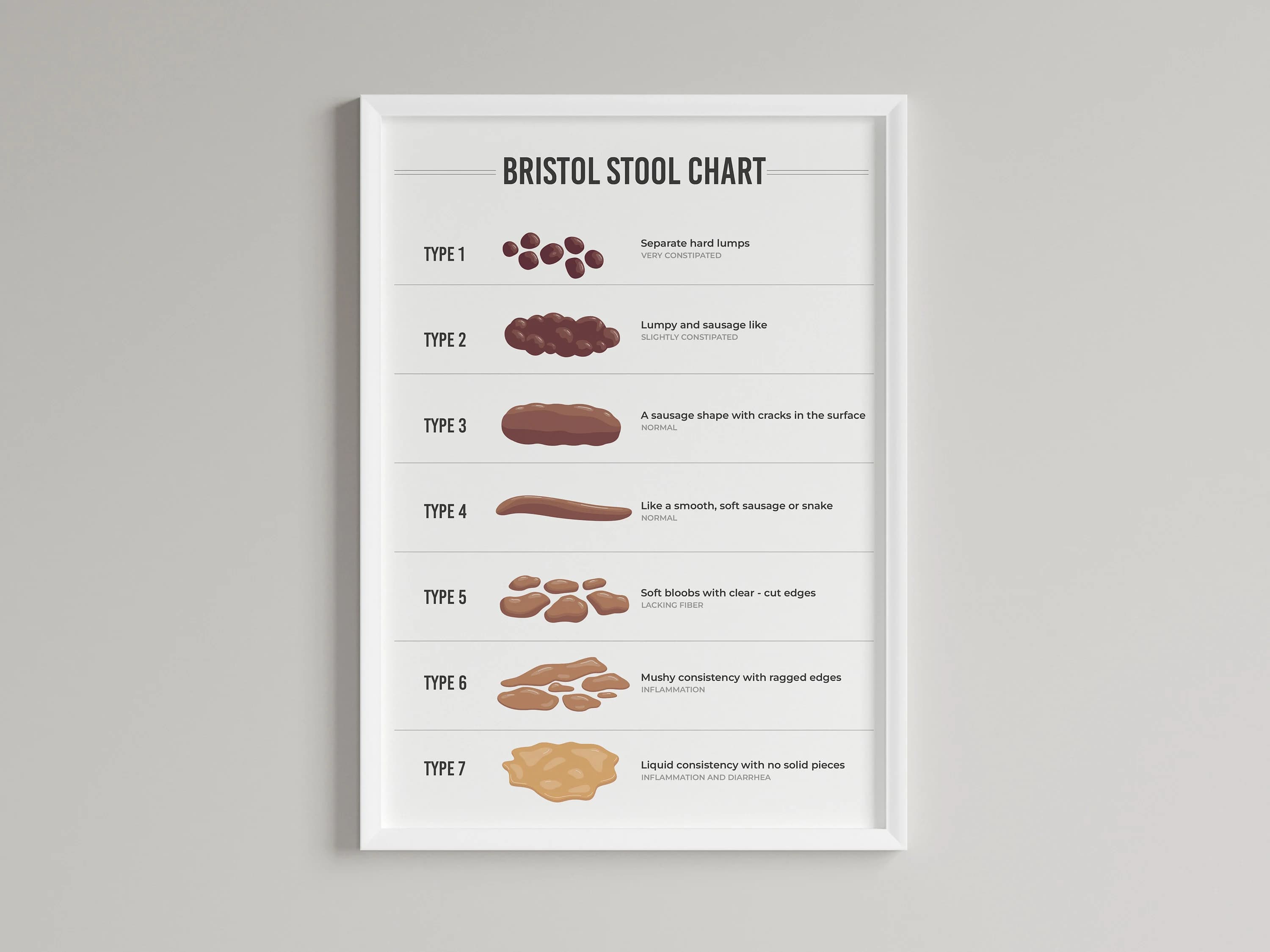 Bristol Stool Chart | Digestive Health Guide (Digital Download) - image 3