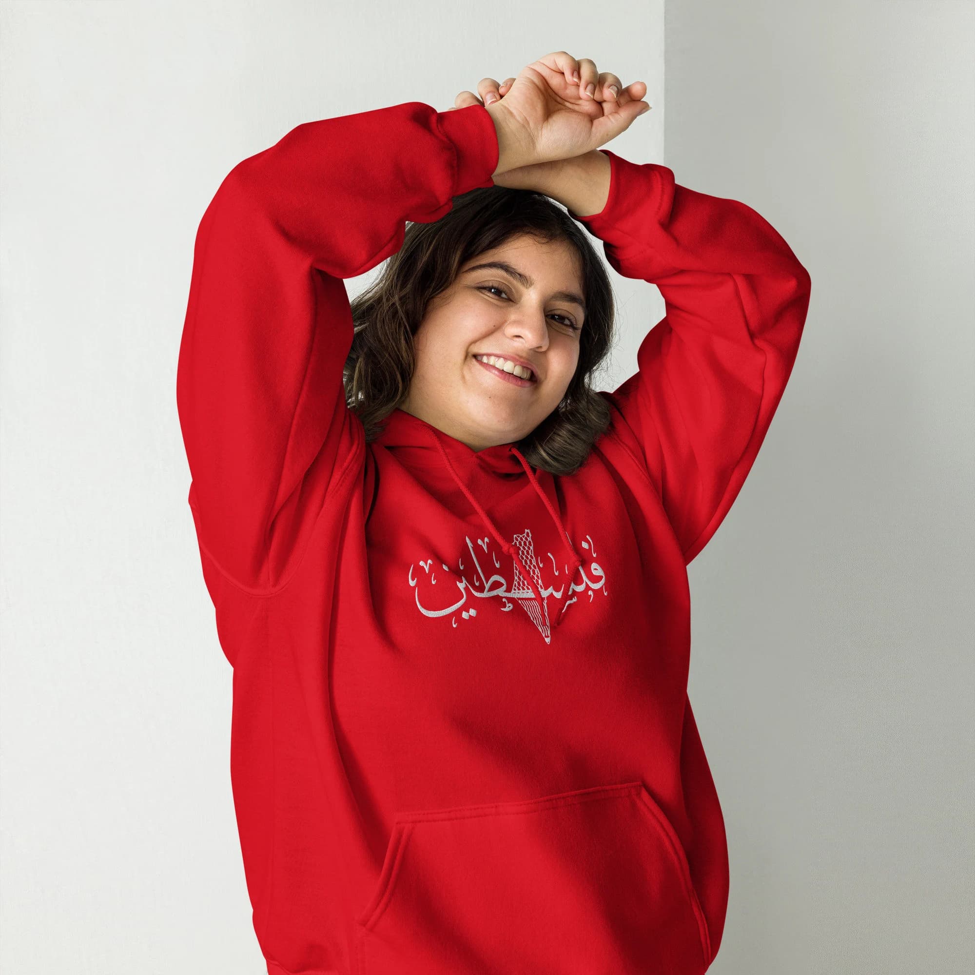 Falasteen Keffiyah Map Embroidered Unisex Hoodie 9 Colors, Palestine Embroidered Hoodie, Palestine Sweatshirt