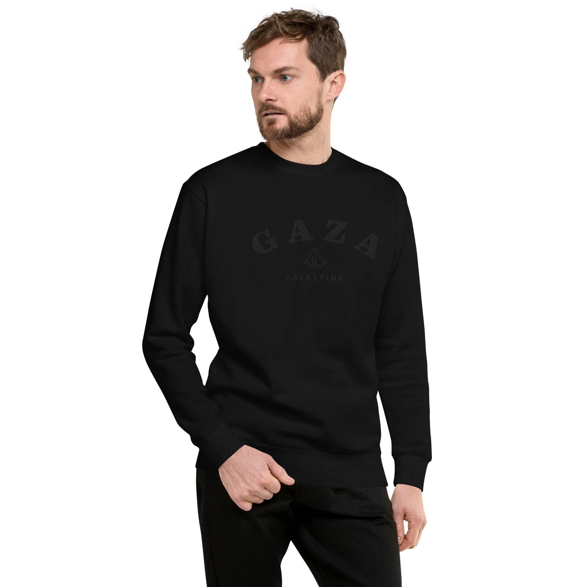 Gaza Palestine Crewneck Sweater, 8 Colors, S-3XL, Unisex Premium Sweatshirt, Palestine Sweatshirt, Gaza Sweater
