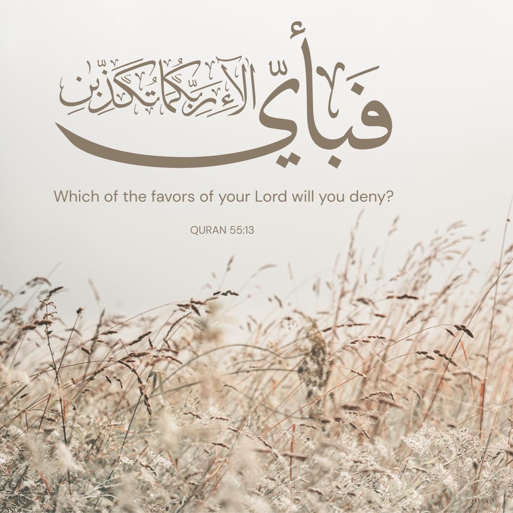 Neutral beige Islamic Samsung Frame TV art featuring Surah Ar-Rahman in elegant circular Arabic calligraphy. Below it is written the Quran verse “Fabi Ayyee Alaai Rabbikuma Tukaththibaan.” Soft wild pampas grass decor surrounds the design, creating a calm, modern, and minimal aesthetic for Muslim home décor and Ramadan wall art.