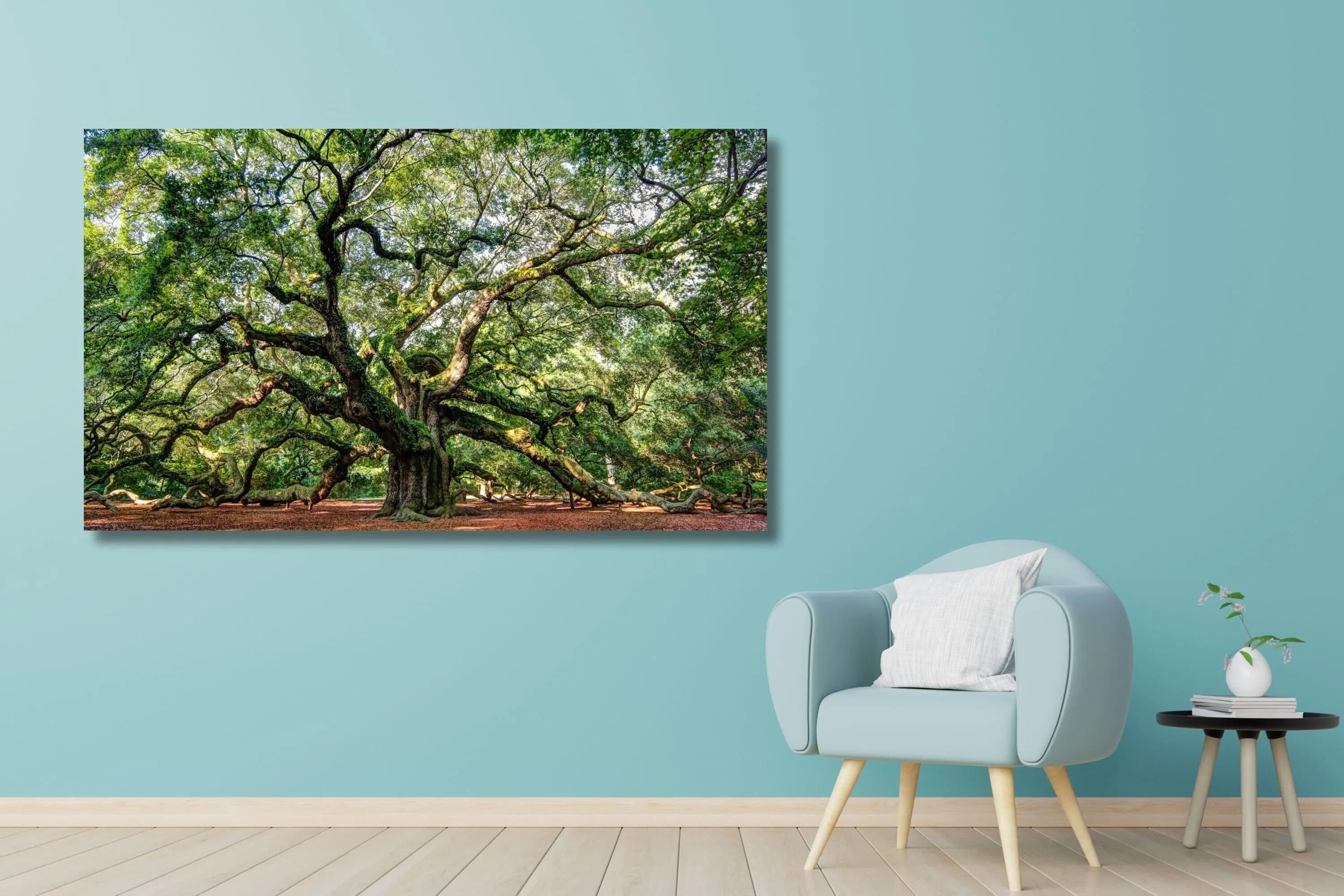 Angel Oak Tree Canvas Print: Large Nature Wall Art
