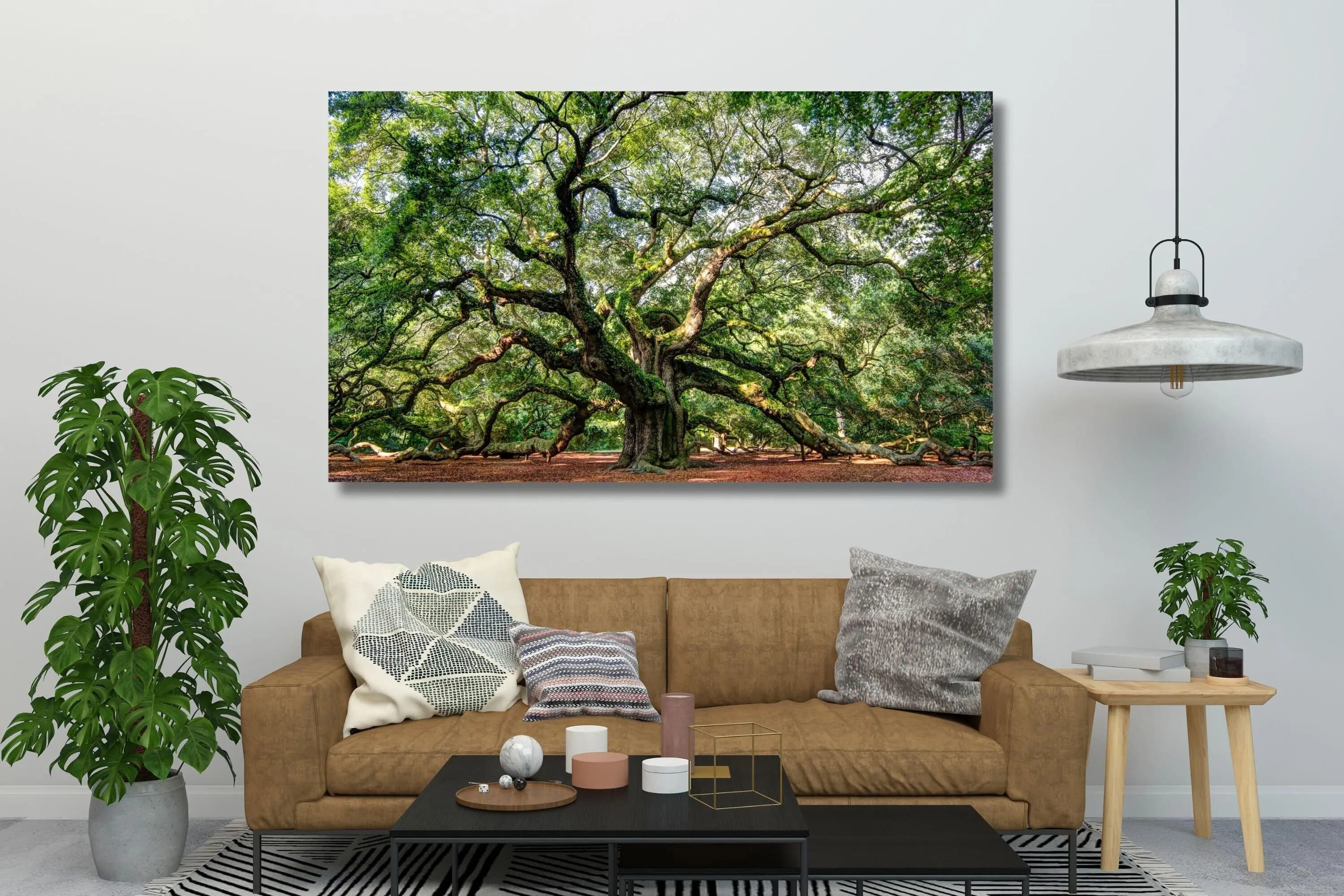 Angel Oak Tree Canvas Print: Large Nature Wall Art - image 4