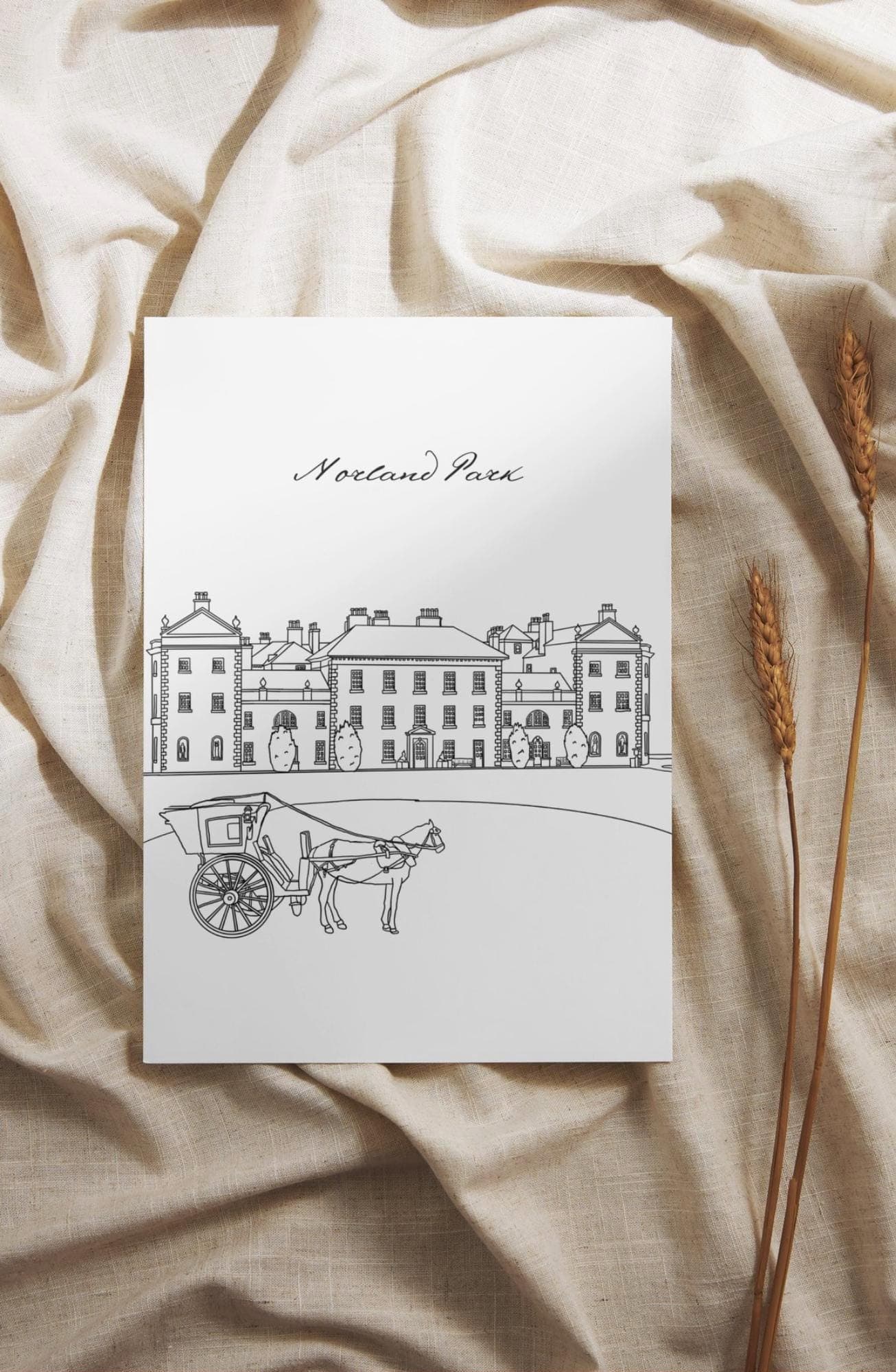 Sense and Sensibility Coloring Pages: Jane Austen Printable (Digital Download) - image 3