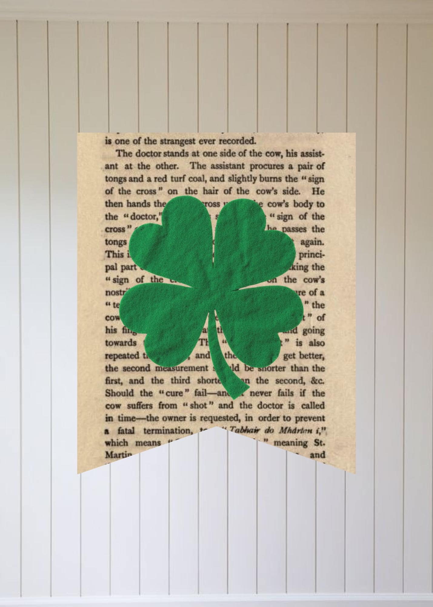 St. Patrick's Day Banner: Printable Shamrock Book Banner (Digital Download) - image 3