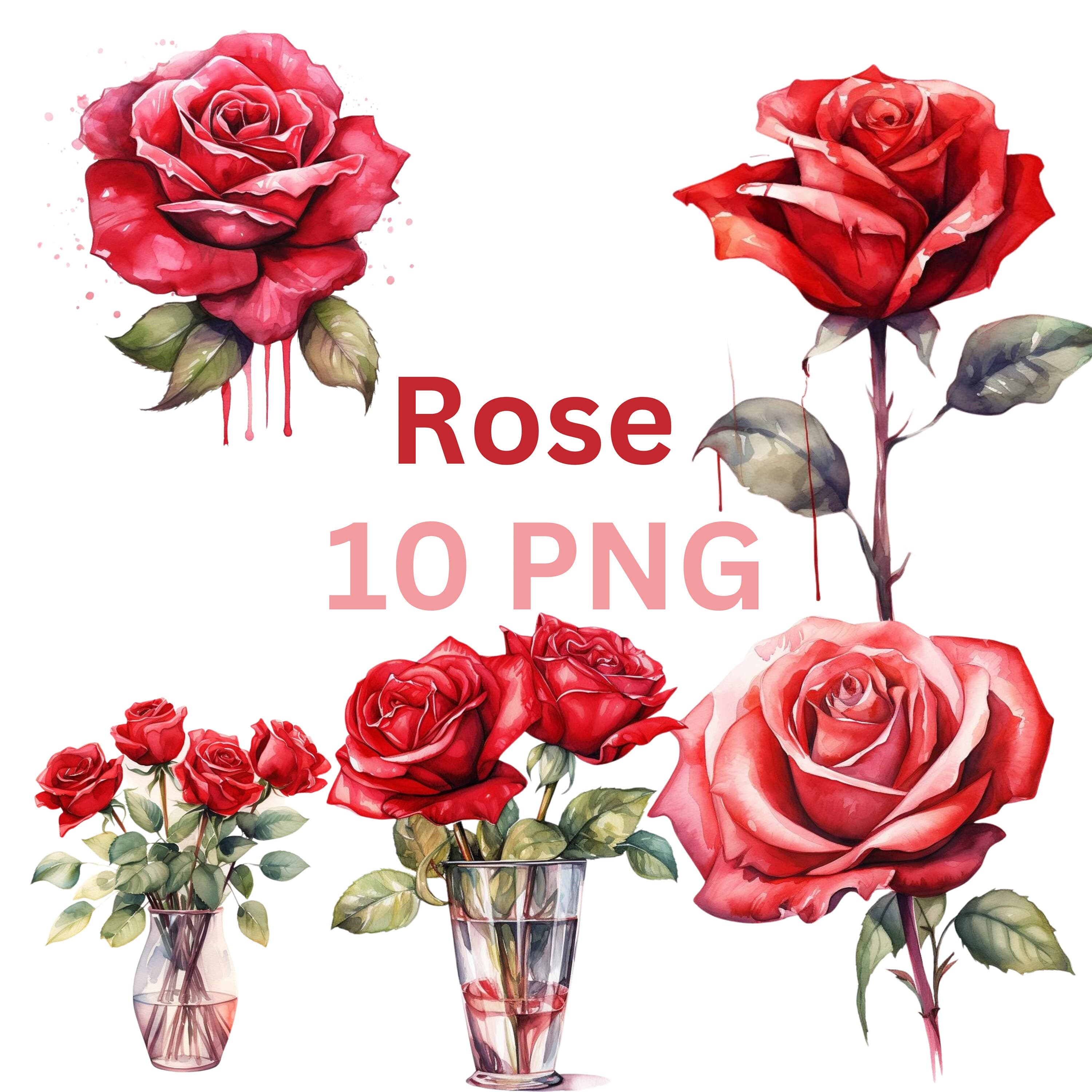 Watercolor Rose PNG Collection: Floral Digital Art (300 DPI)