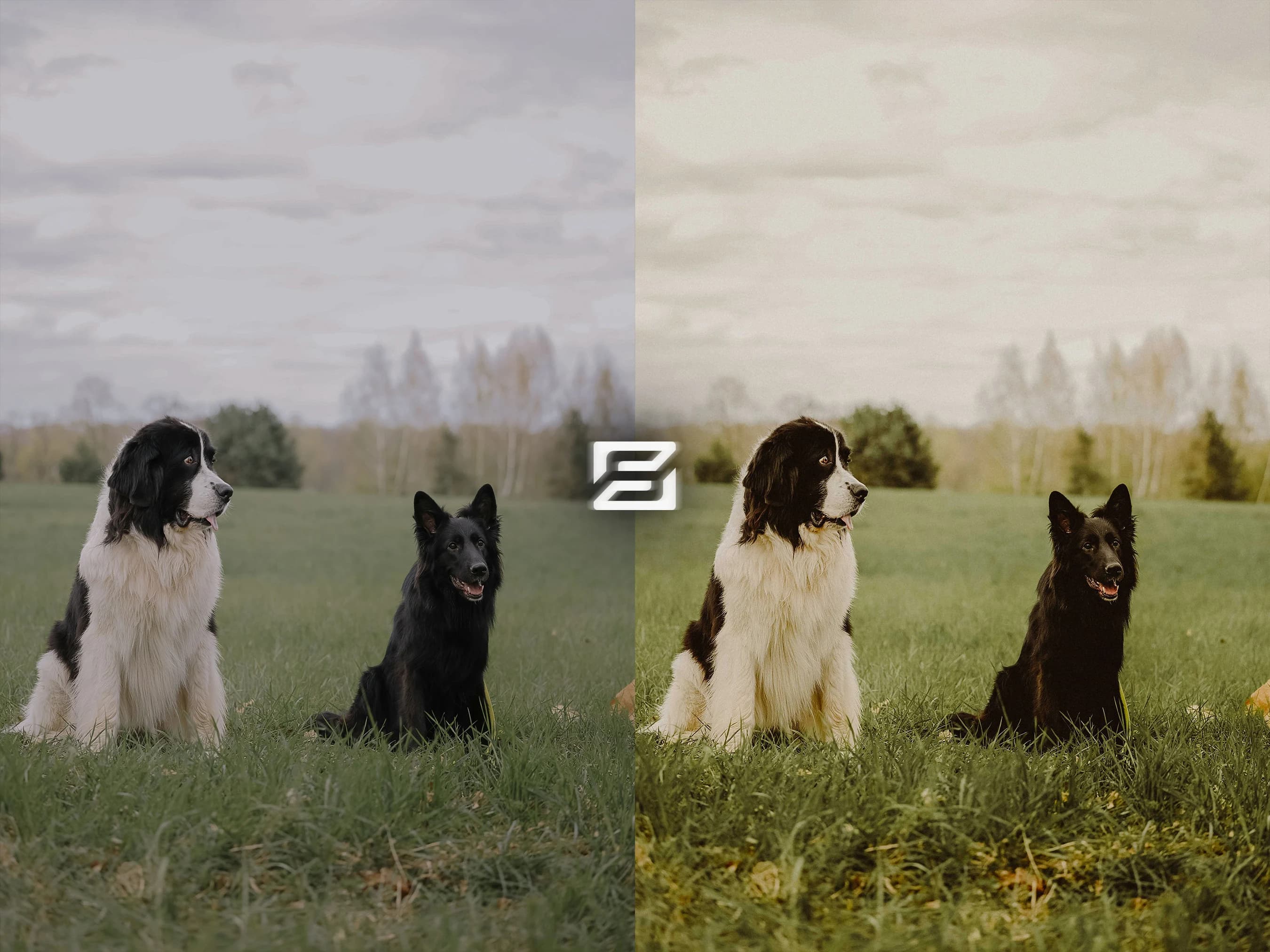 Step back in time with vintage cottagecore effects. Transport your photos to a charming countryside retreat. Embrace the simplicity and beauty of days gone by.