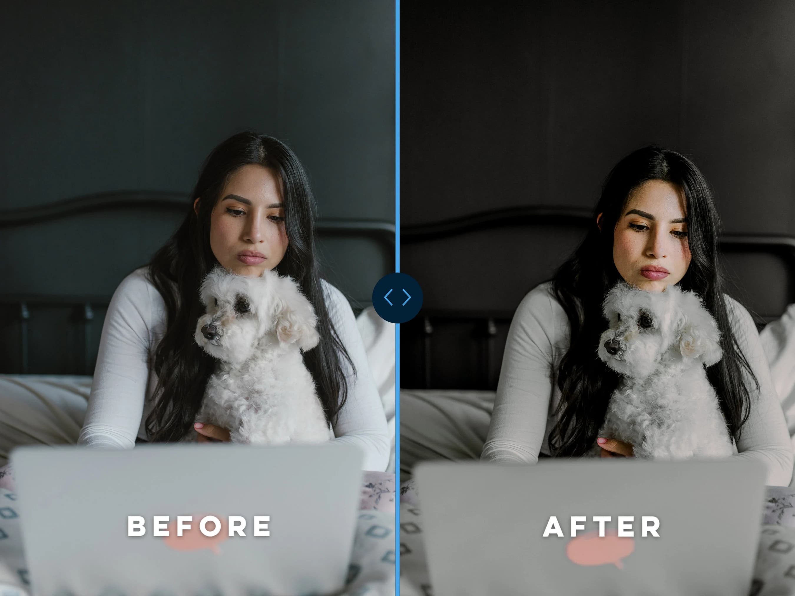 PET PRESETS for Mobile Lightroom, Puppy Presets, Outdoor Presets, Cat Presets, Presets Dogs, Photo Filters - image 4
