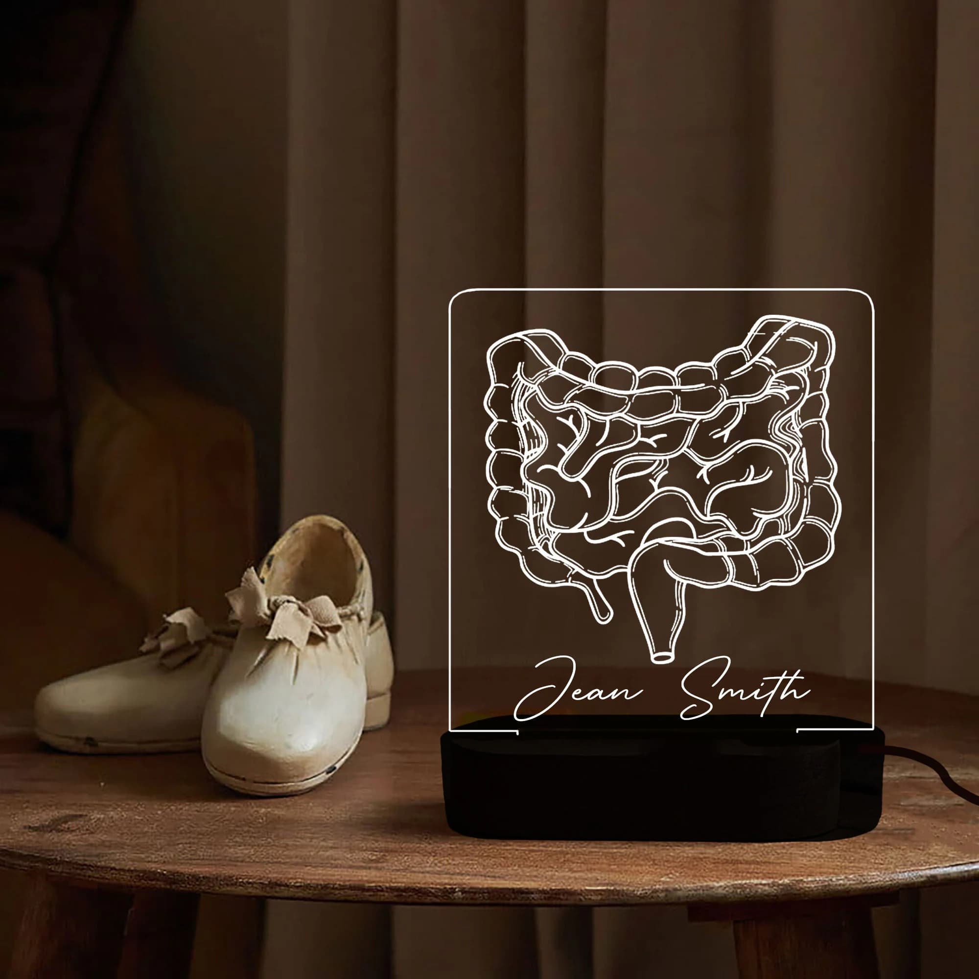 Intestine night light, Digestive gift, Gastrointestinal decor, Colon Gift, gastroenterologist,Medical Student Graduation Gift, Doctor Gift