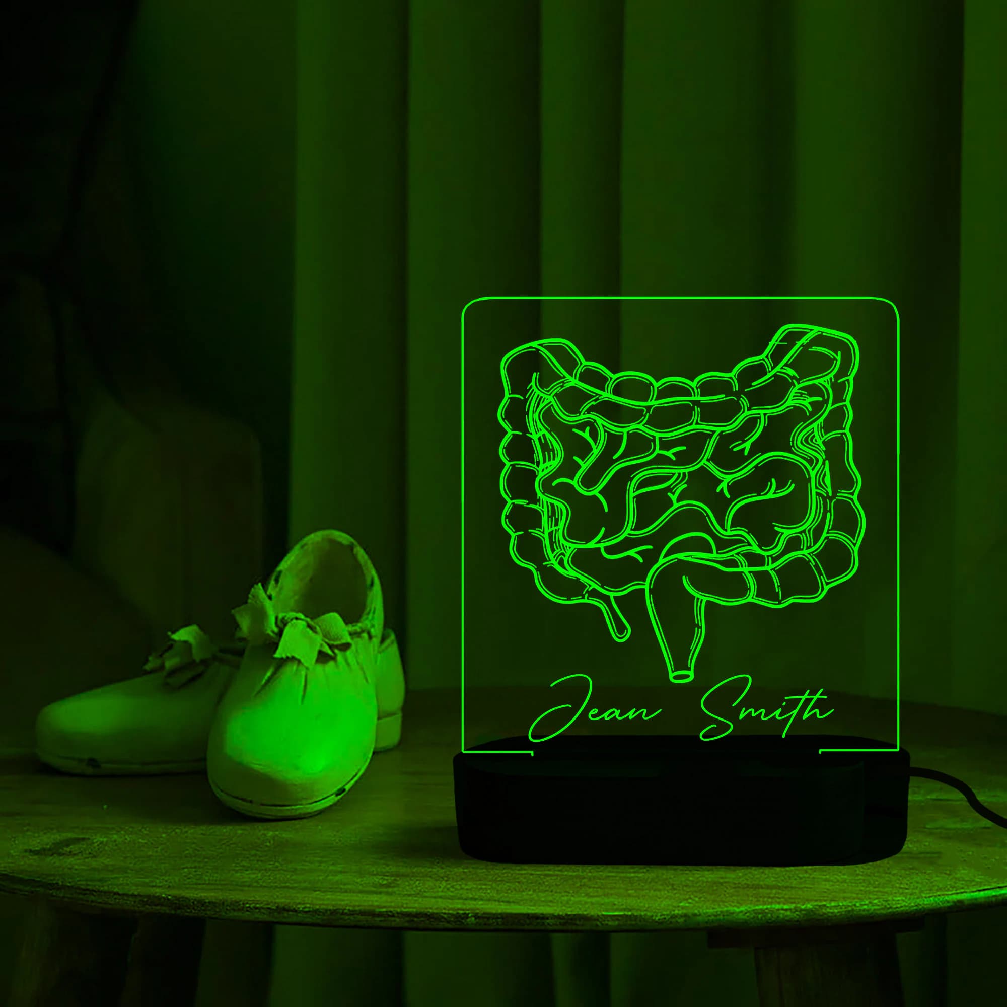Intestine night light, Digestive gift, Gastrointestinal decor, Colon Gift, gastroenterologist,Medical Student Graduation Gift, Doctor Gift - image 3