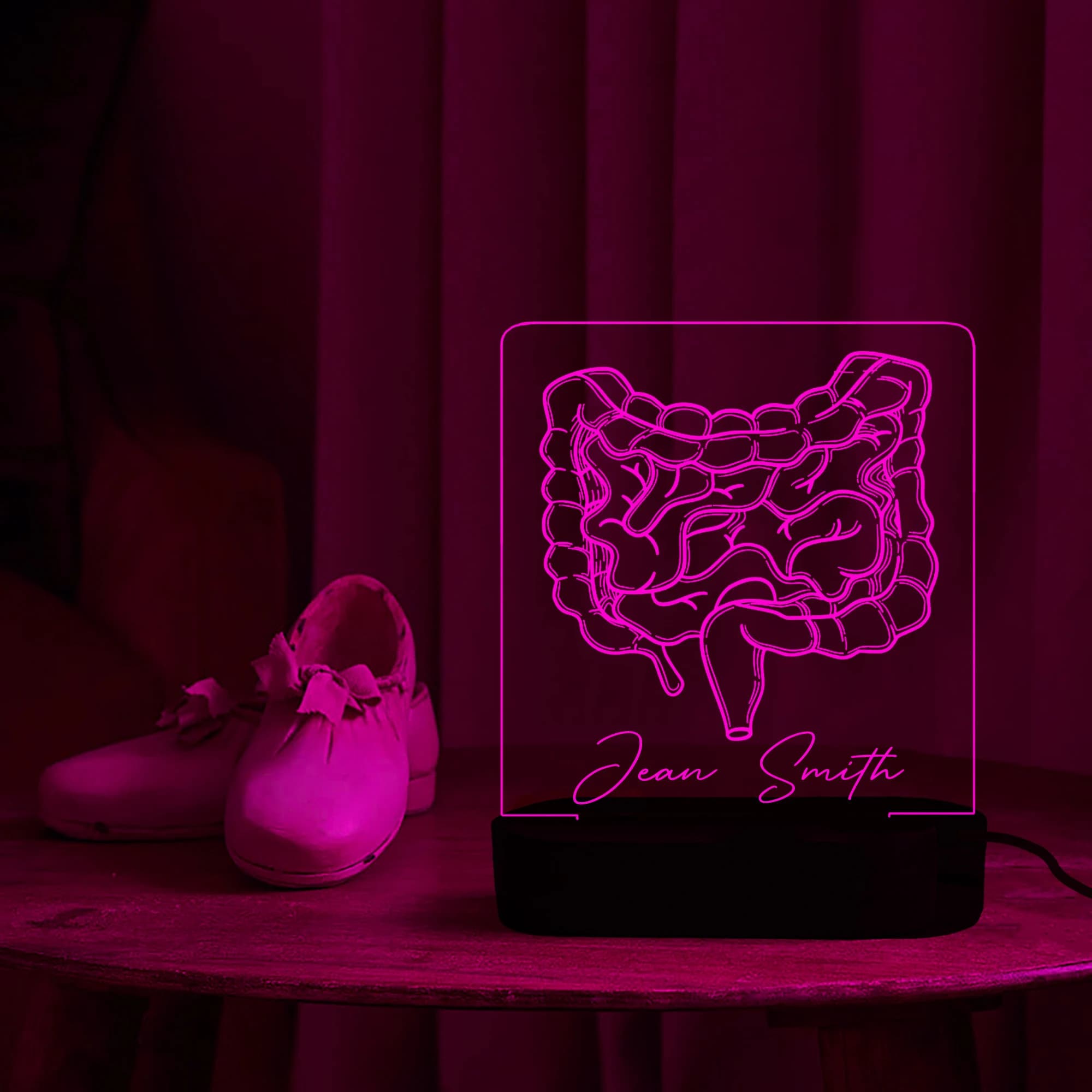 Intestine night light, Digestive gift, Gastrointestinal decor, Colon Gift, gastroenterologist,Medical Student Graduation Gift, Doctor Gift - image 5