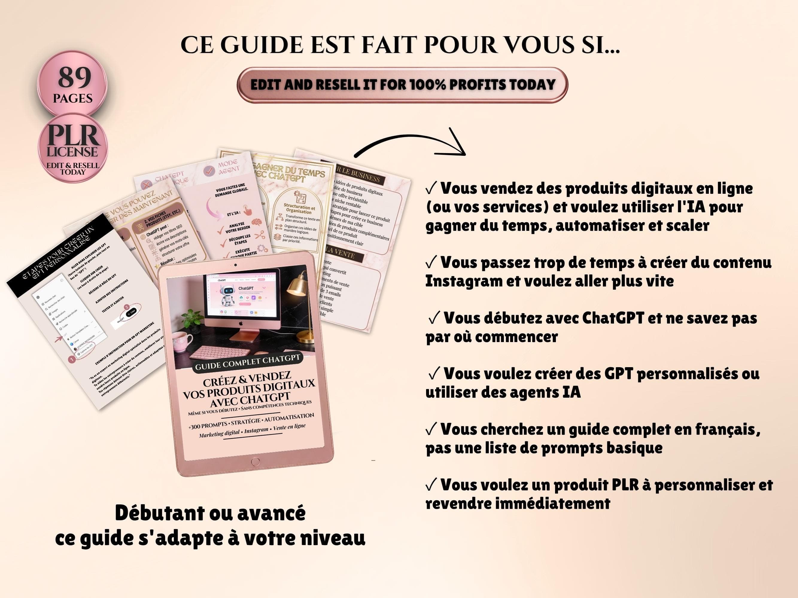 Guide ChatGPT entrepreneur français pour qui vend des produits digitaux et services en ligne