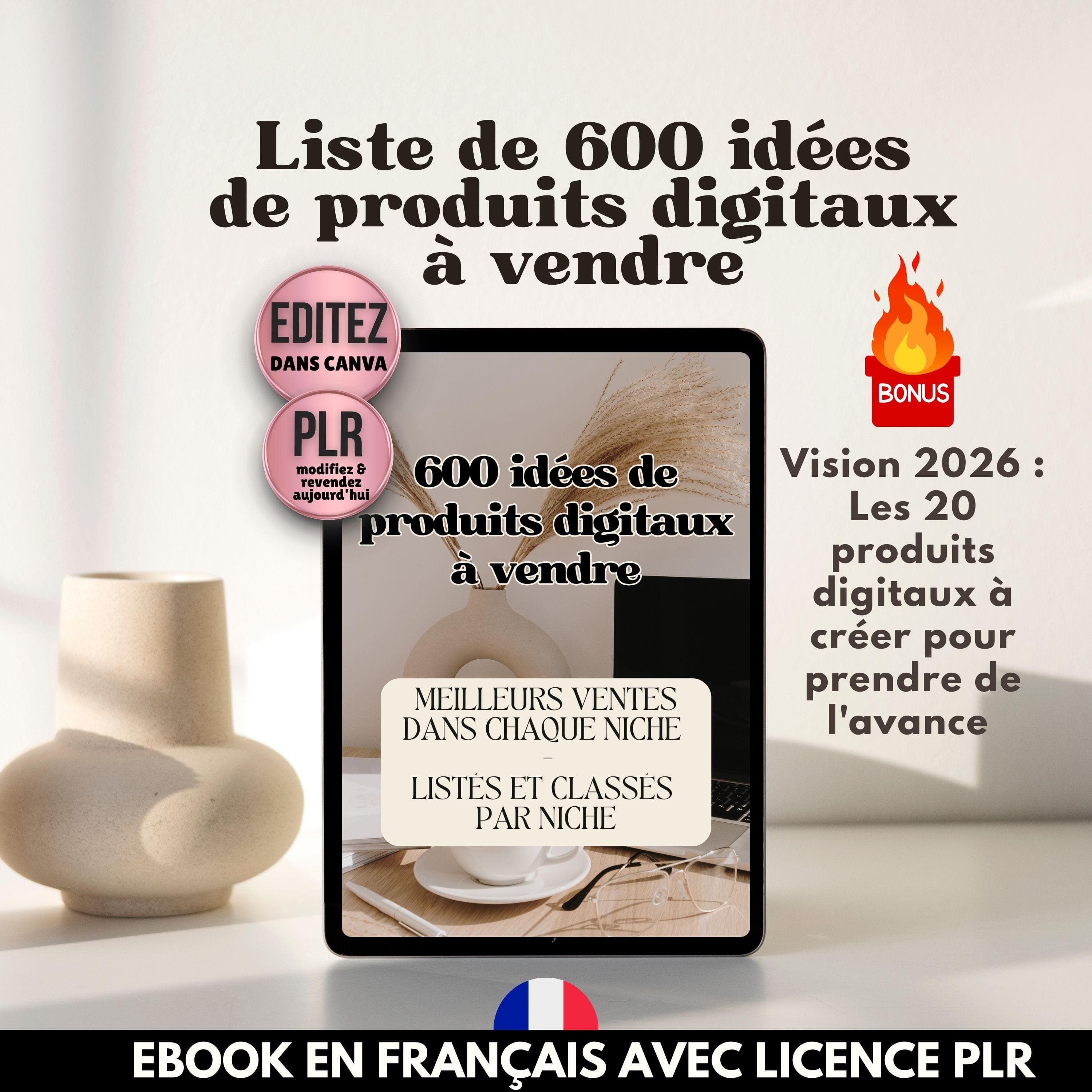 Liste 600 idées des meilleurs produits digitaux à vendre. Ebook en français | Produit PLR | Idées revenus passifs classés par niche rentable