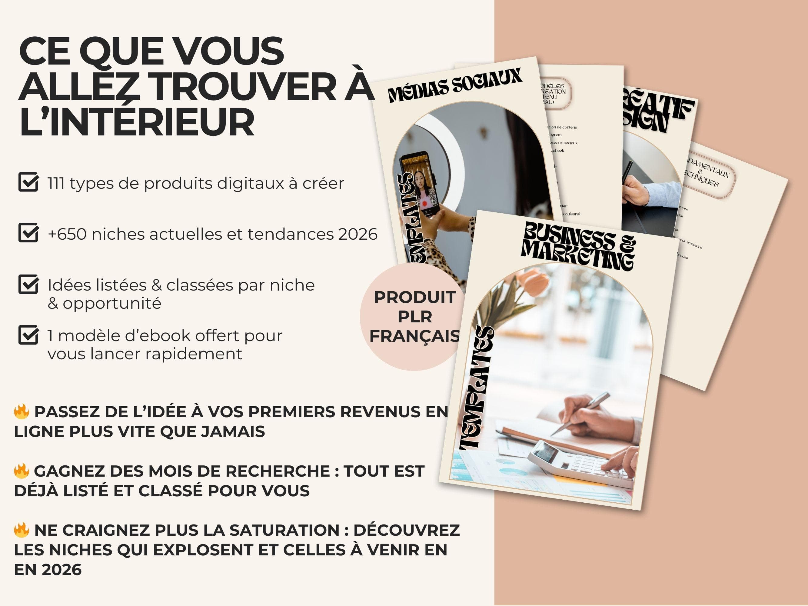 Aperçu de l’ebook 750 idées de produits digitaux en français : 111 types de produits, plus de 650 niches rentables listées et classées, tendances jusqu’en 2026. Idéal pour trouver une idée de business en ligne et générer des revenus passifs.