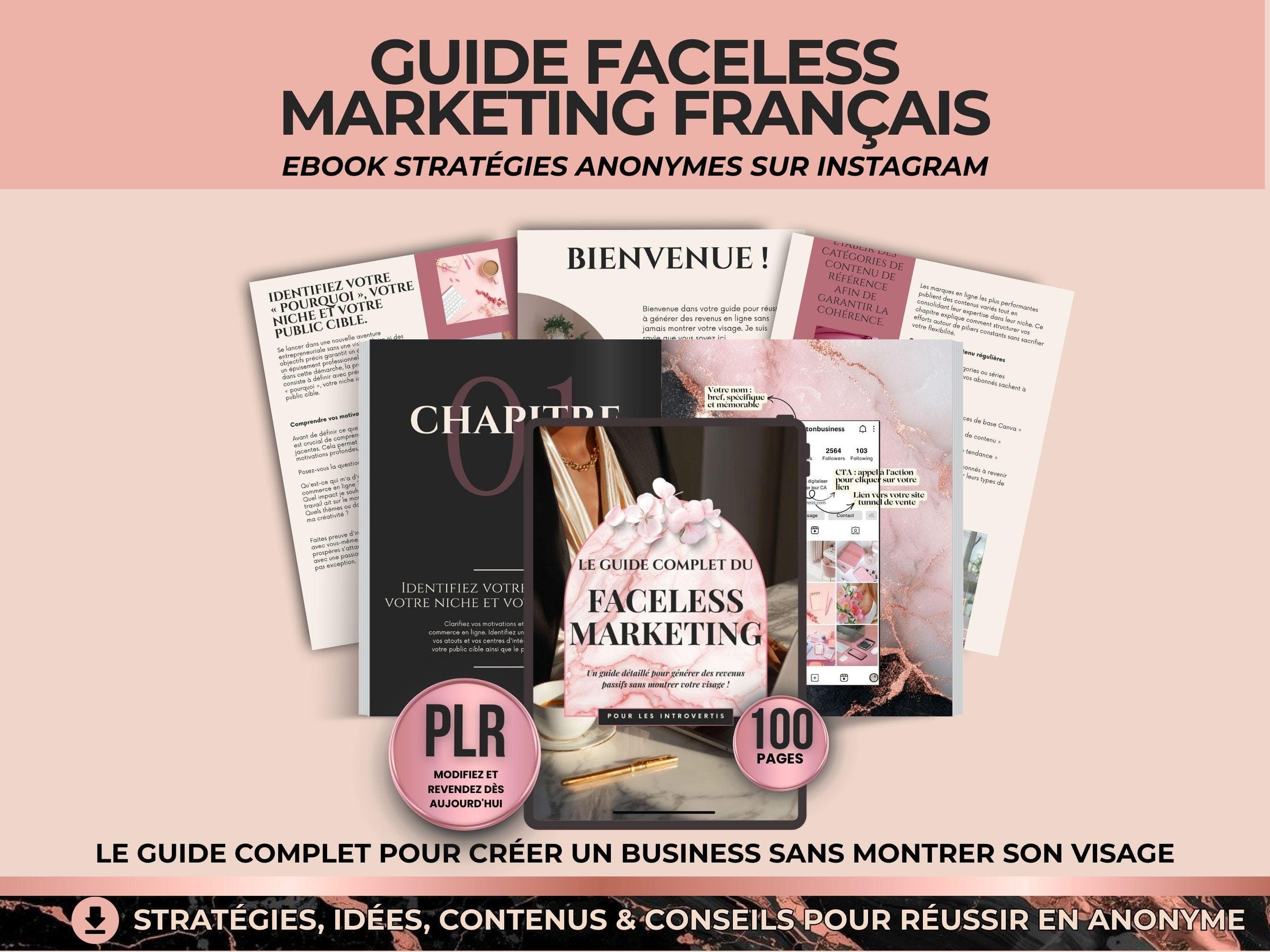 Guide faceless marketing français PLR | Ebook instagram méthode anonyme | Stratégies sans montrer son visage | Licence PLR