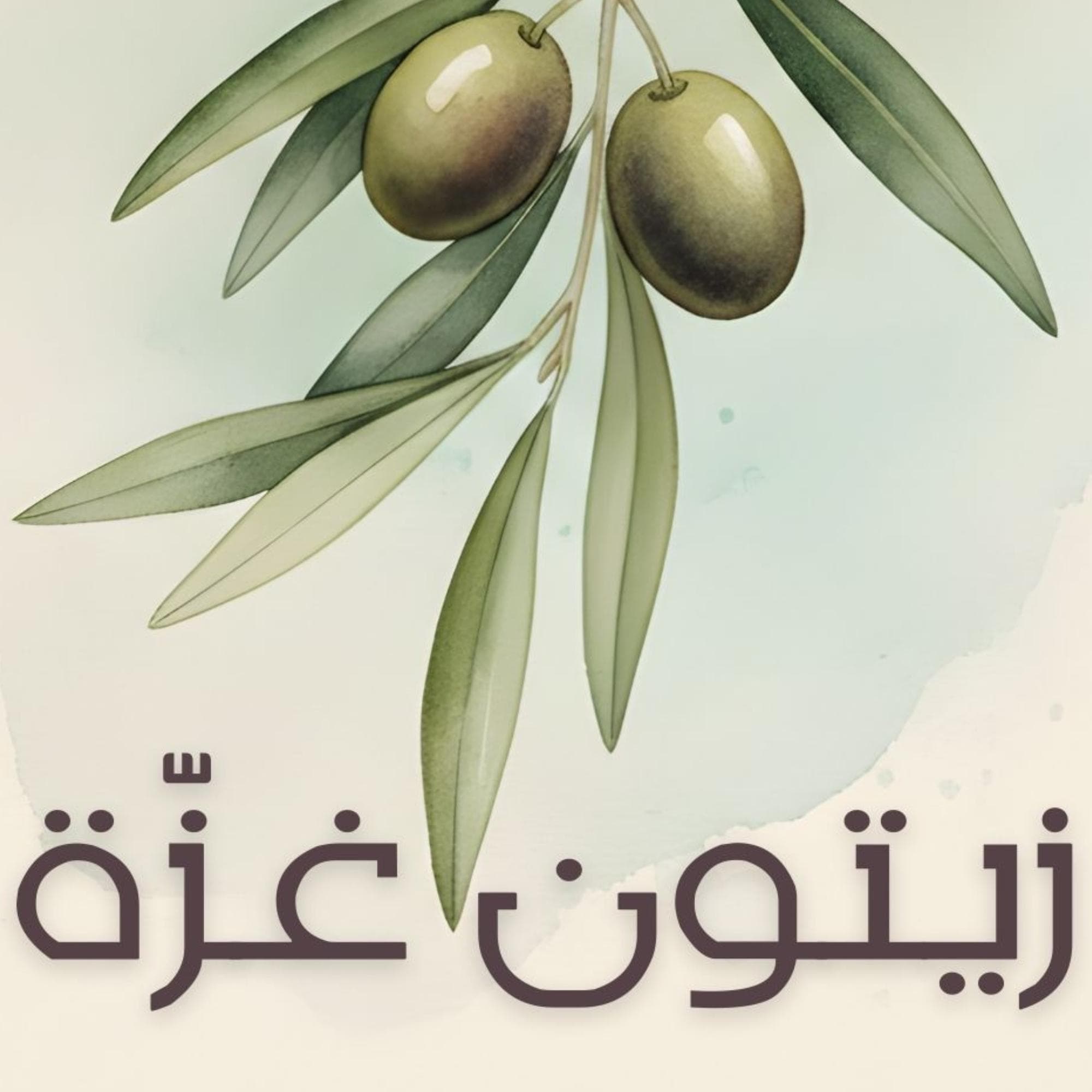 Olive Branch Gaza Kitchen Wall Art, Arabic Watercolor Print, Mediterranean Home Decor - image 5