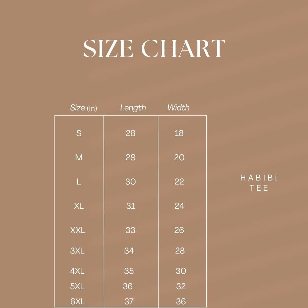 Hanes Habibi Shirt Versatile for Everyday Comfort and Travel Unique Arabic Calligraphy Oversized T-Shirt for Men and Women image 6