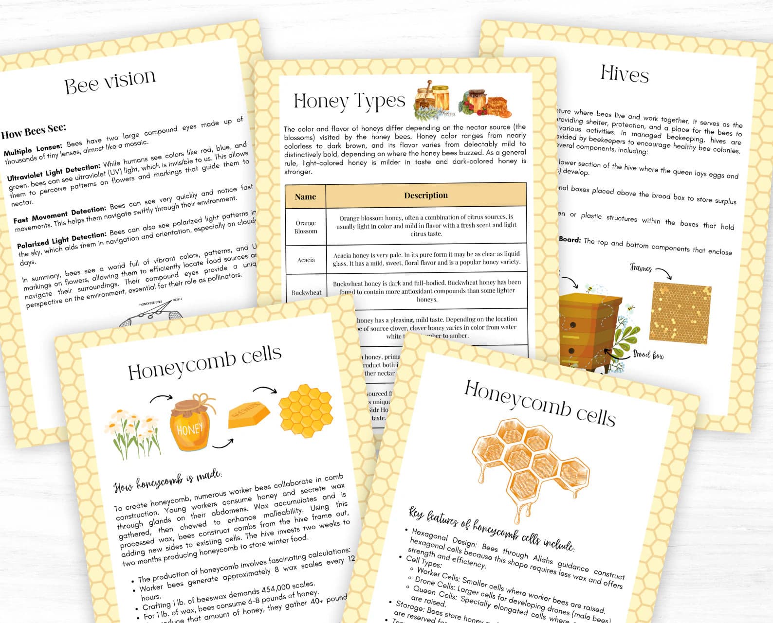 BEE Unit Study, Life Cycle, Anatomy, Nature Study, Islamic, Science, Muslim Homeschool, Montessori - image 2