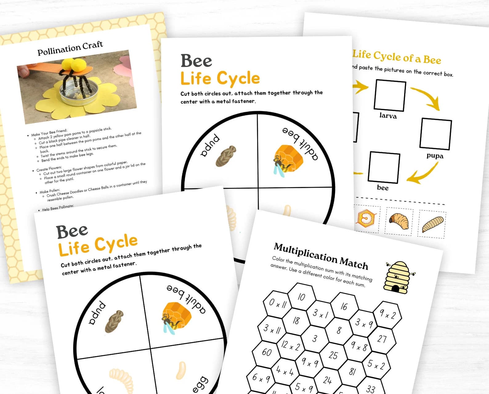 BEE Unit Study, Life Cycle, Anatomy, Nature Study, Islamic, Science, Muslim Homeschool, Montessori - image 3