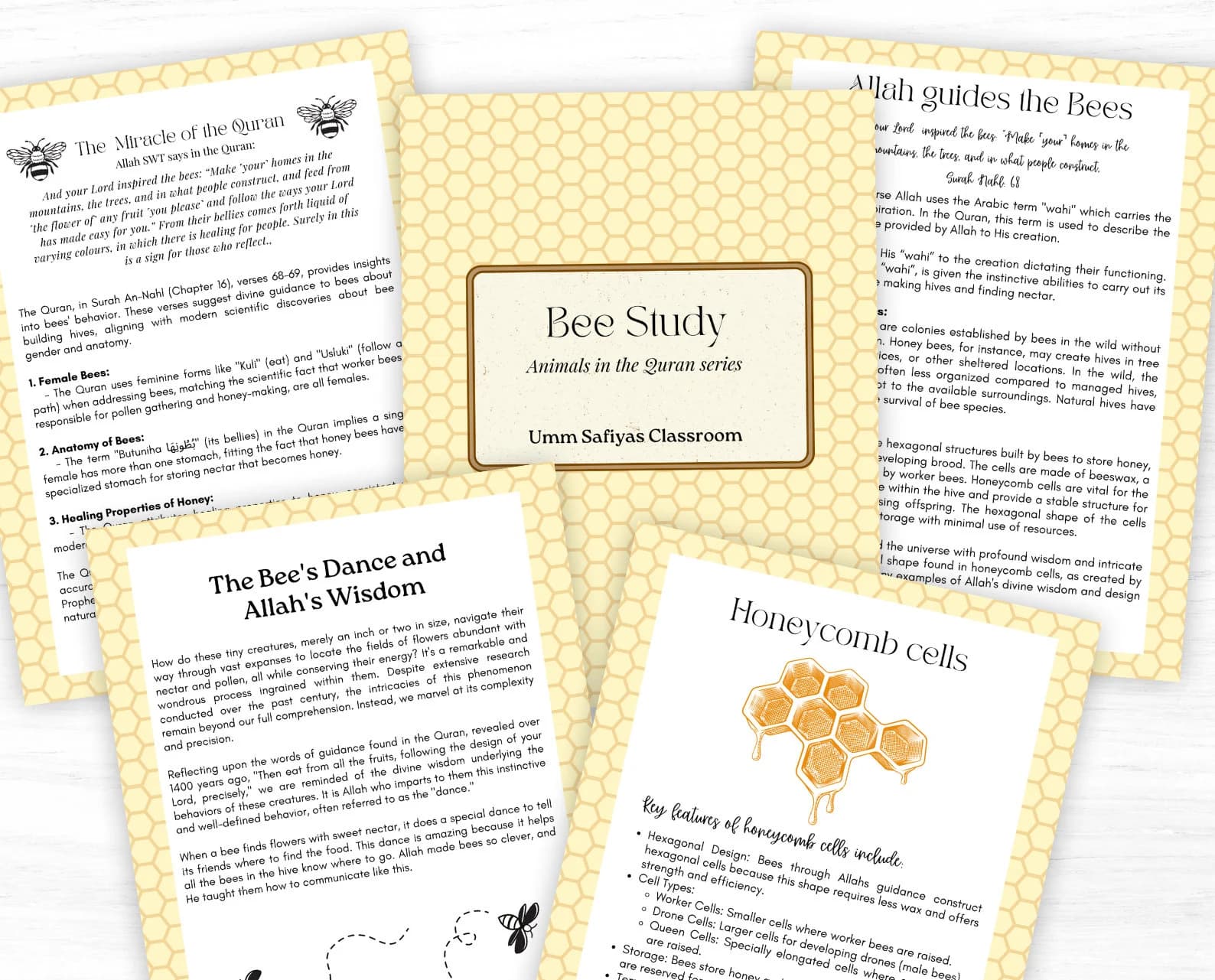 BEE Unit Study, Life Cycle, Anatomy, Nature Study, Islamic, Science, Muslim Homeschool, Montessori