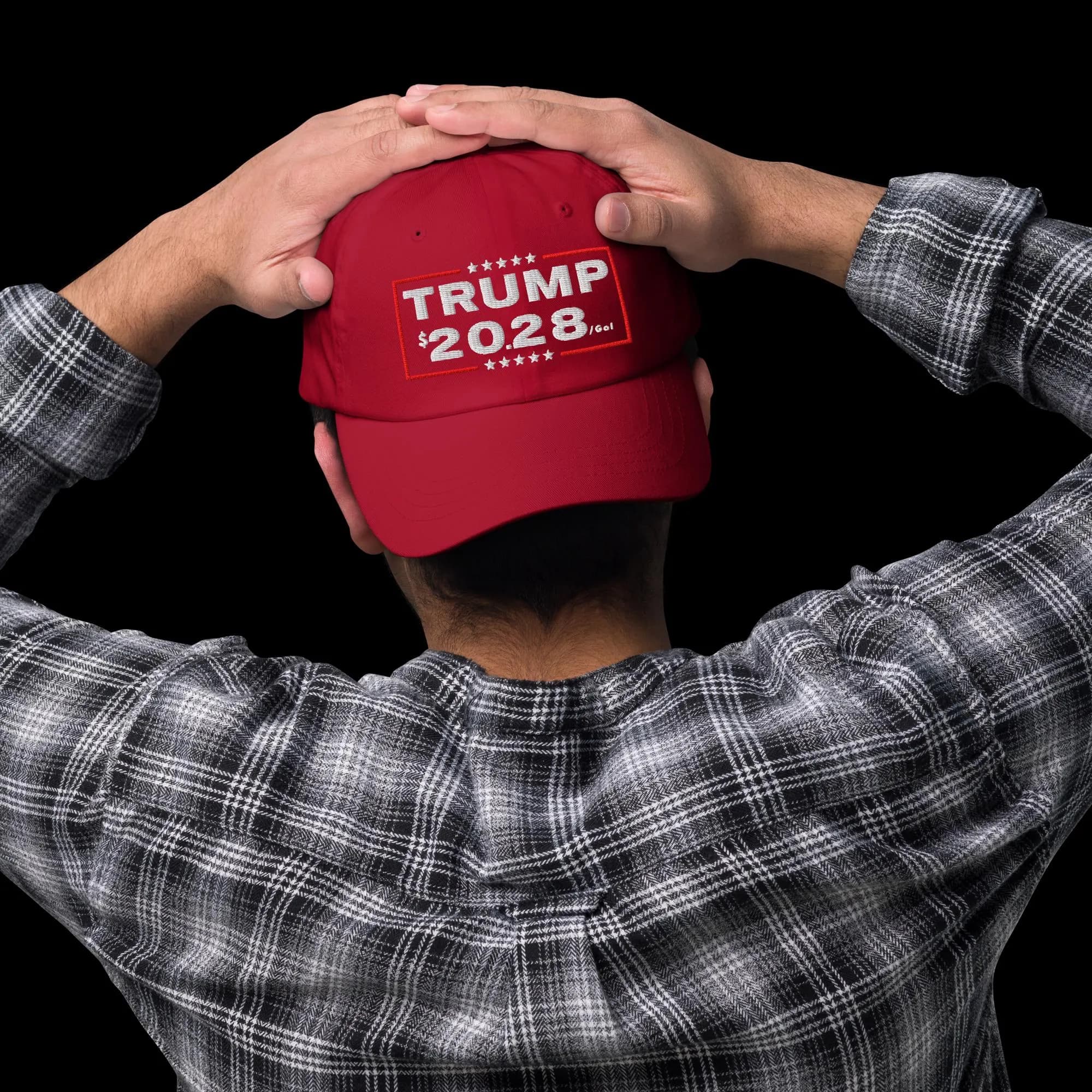 President Trump 20.28(per gallon) Political Humor cap Anti Trump hat High gas prices Are we great yet Felon rapist in chief Anti Maga Gift - image 3