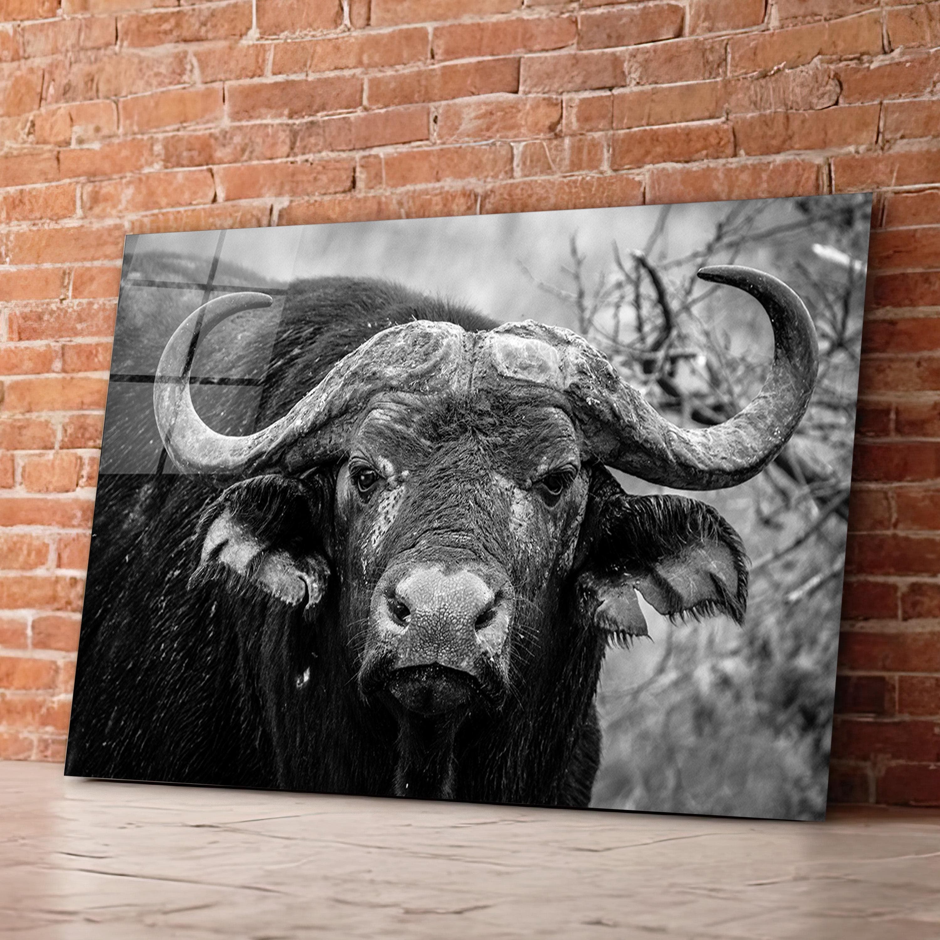 Majestic Bison Glass Wall Art, Buffalo Tempered Glass Decor, Office Wall Art, Gift For Him, Above Bed Art, Valentine's Gifts, Wall Hangings
