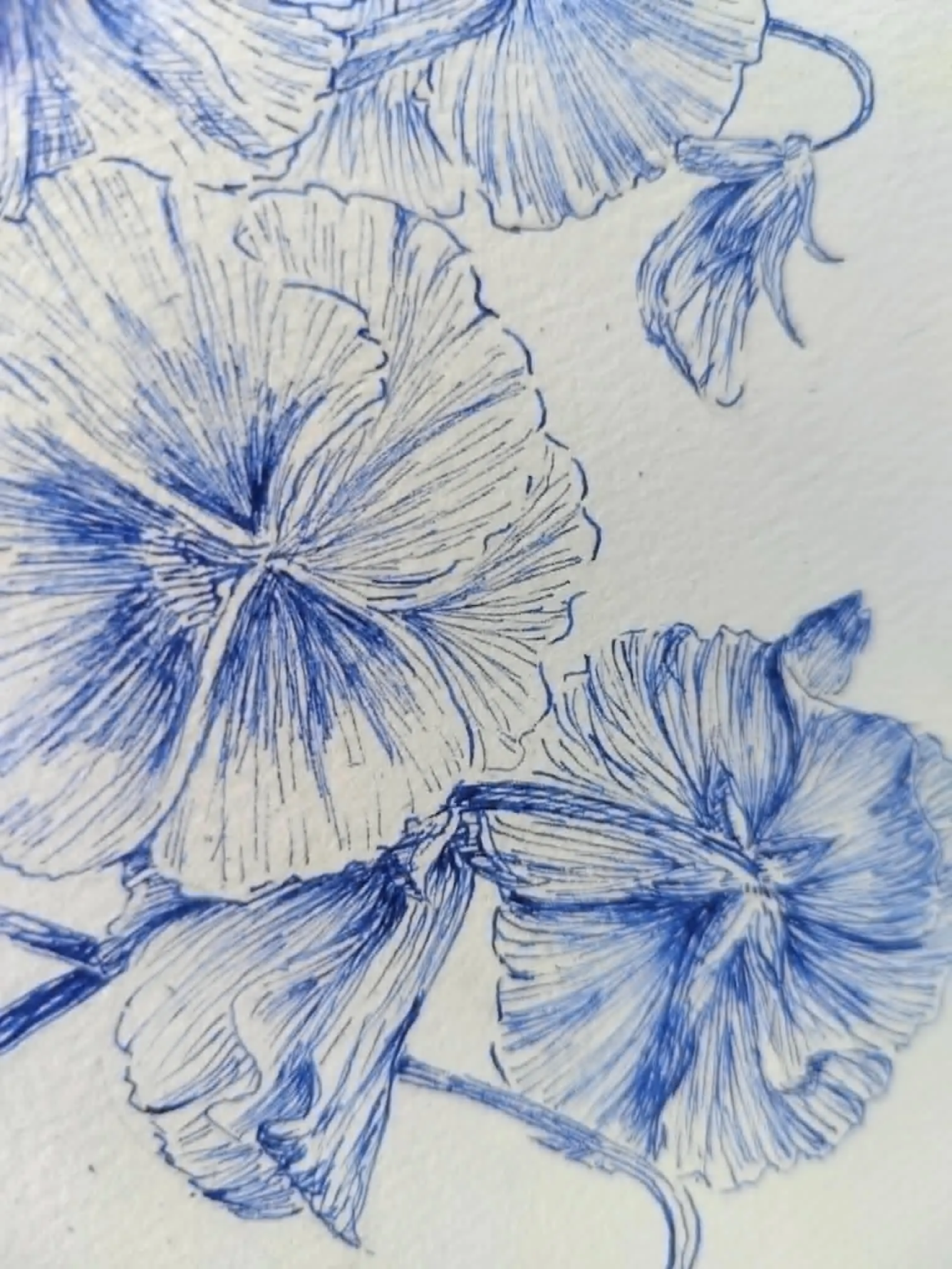 riginal Botanical Ink Drawing, Blue Ballpoint Pen Leaf Sketch, Detailed Plant Illustration, Fine Line Wall Art 26x18 cm - image 4