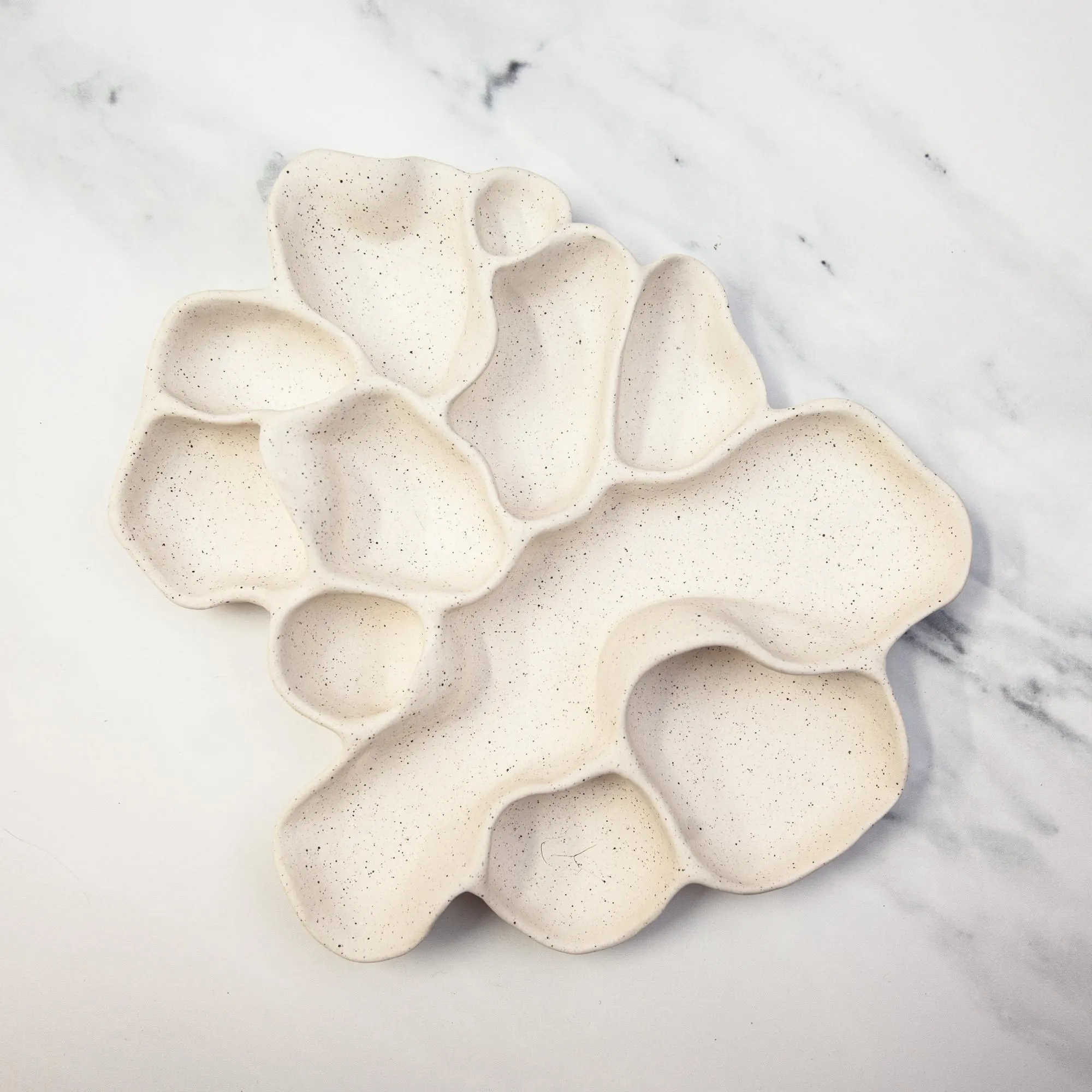 Large Speckled Ceramic Organic Jewelry Tray with Compartments, Curio Trinket Treasure Curiosity Irregular Display