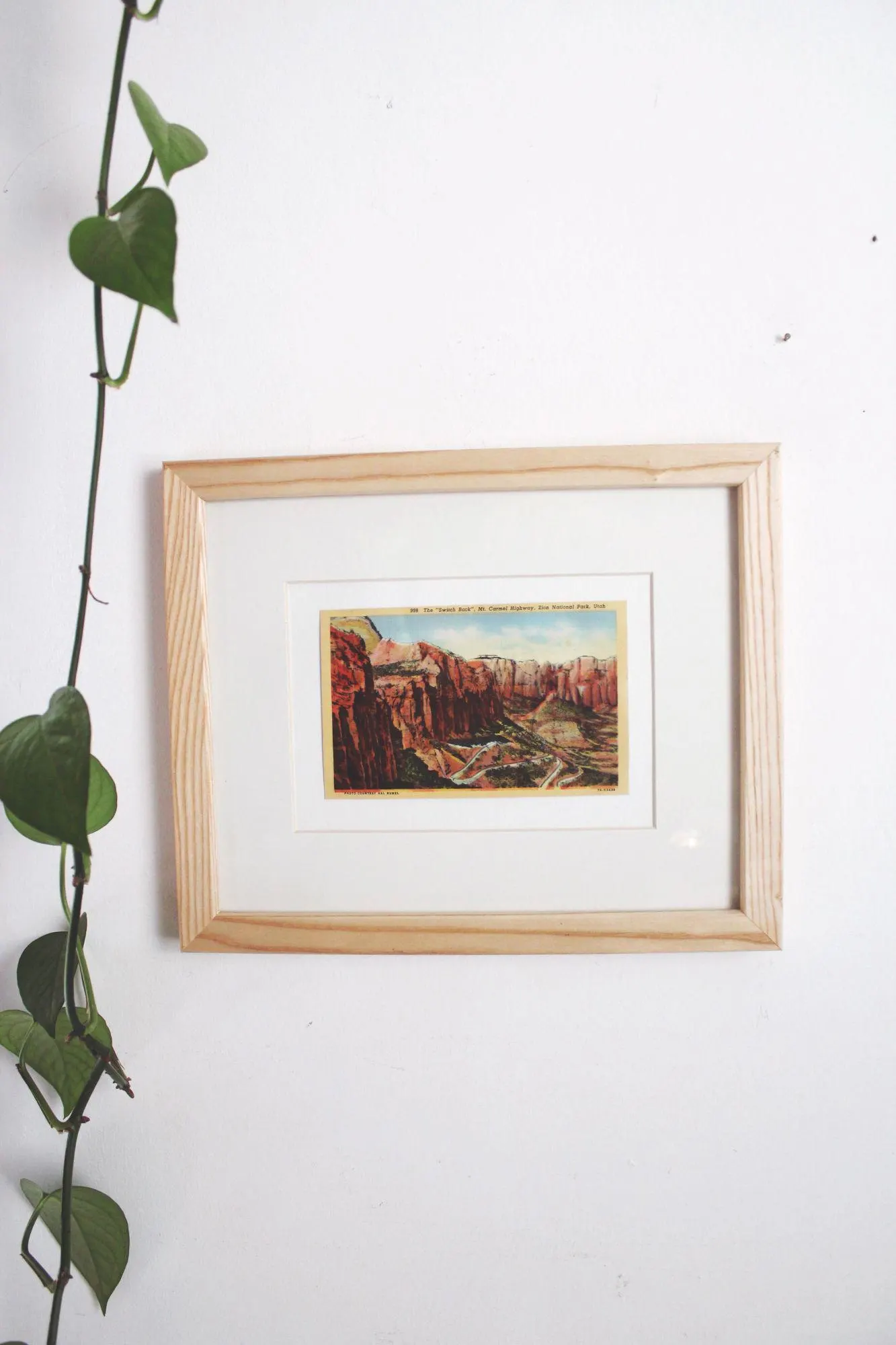 Framed Vintage Linen Postcard Zion National Park Utah Wall Art Decor Ephemera - image 4