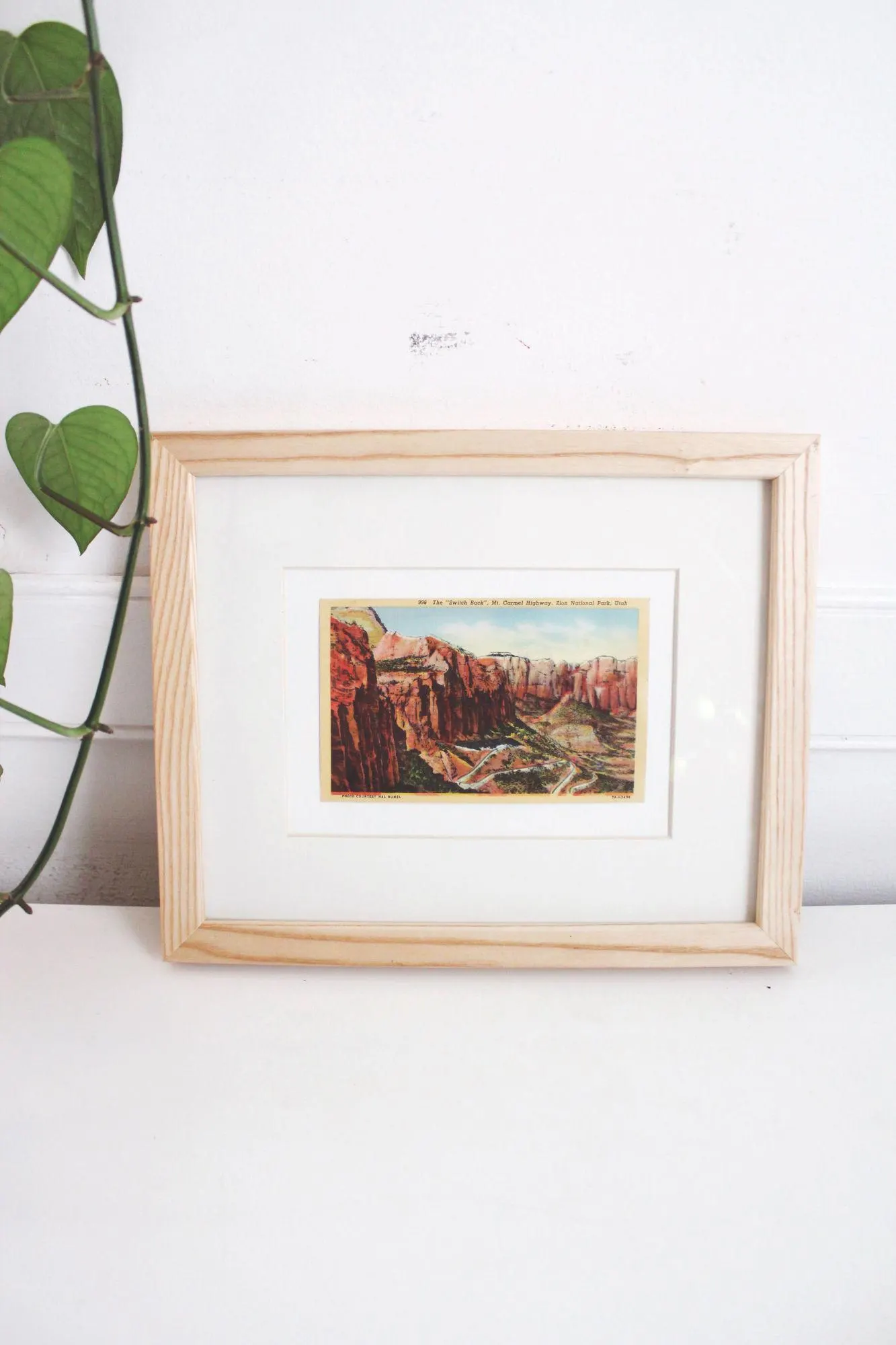 Framed Vintage Linen Postcard Zion National Park Utah Wall Art Decor Ephemera