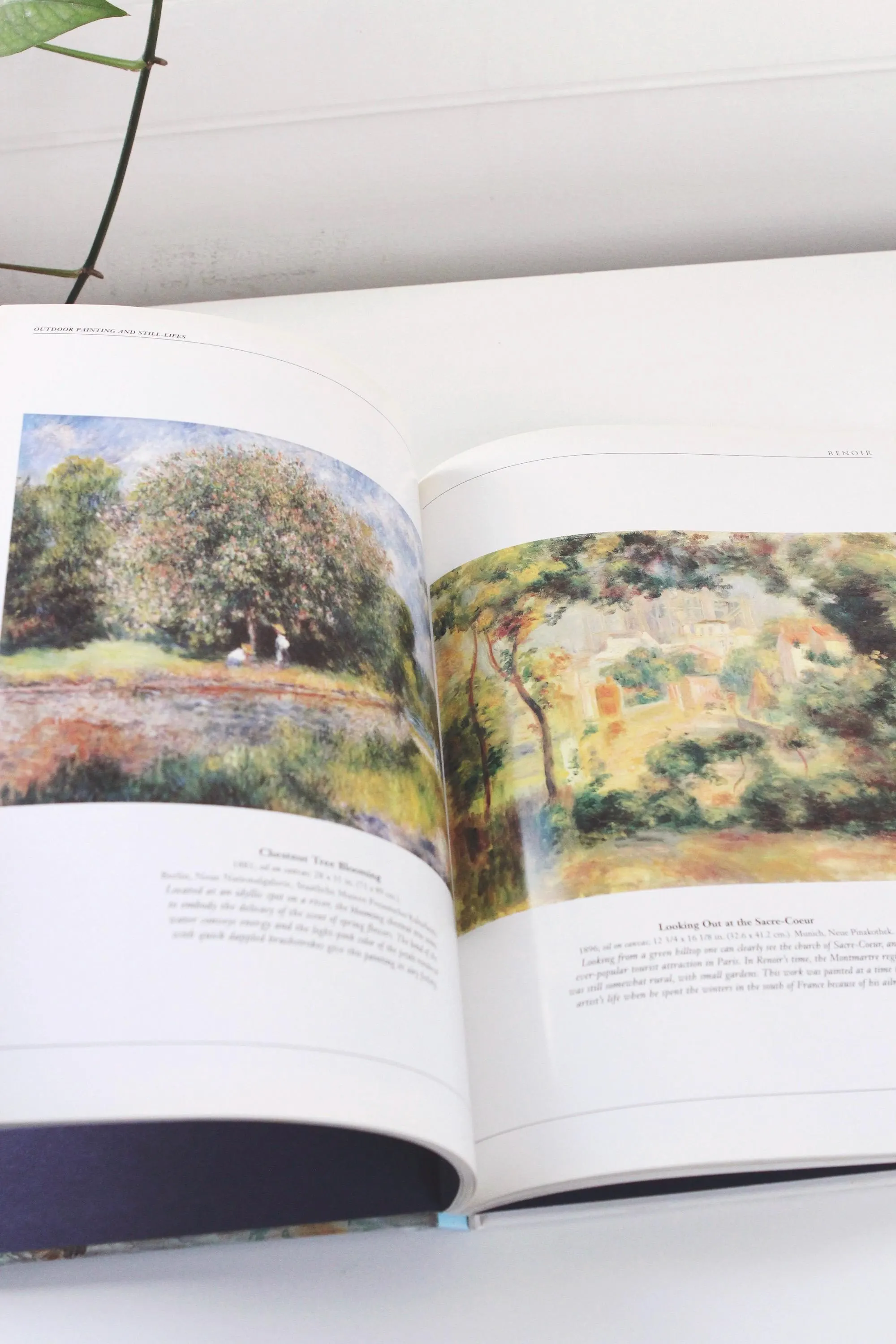 Renoir: A Master of Impressionism by Gerhard Gruitrooy Vintage Book - image 5