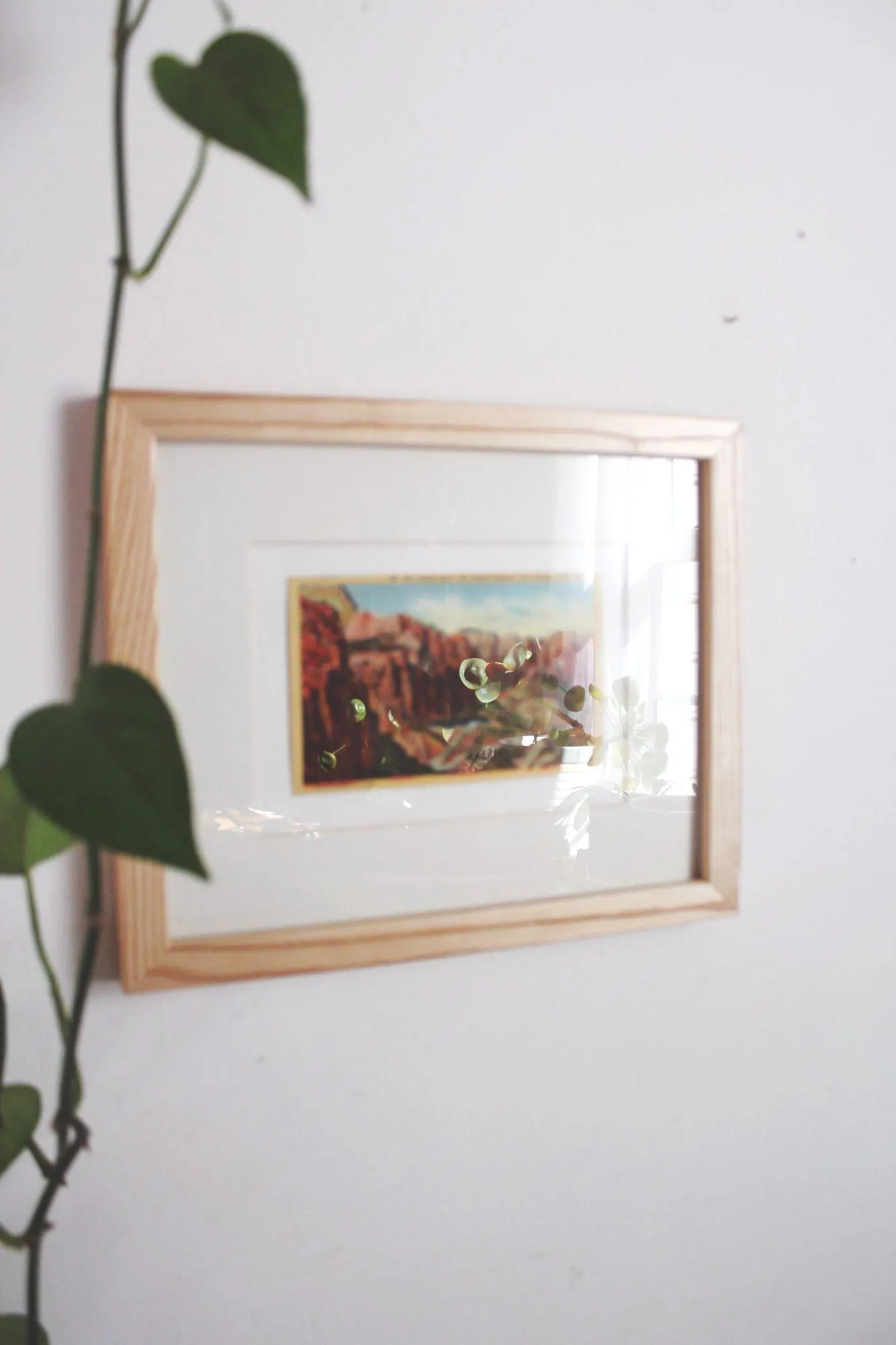 Framed Vintage Linen Postcard Zion National Park Utah Wall Art Decor Ephemera - image 5