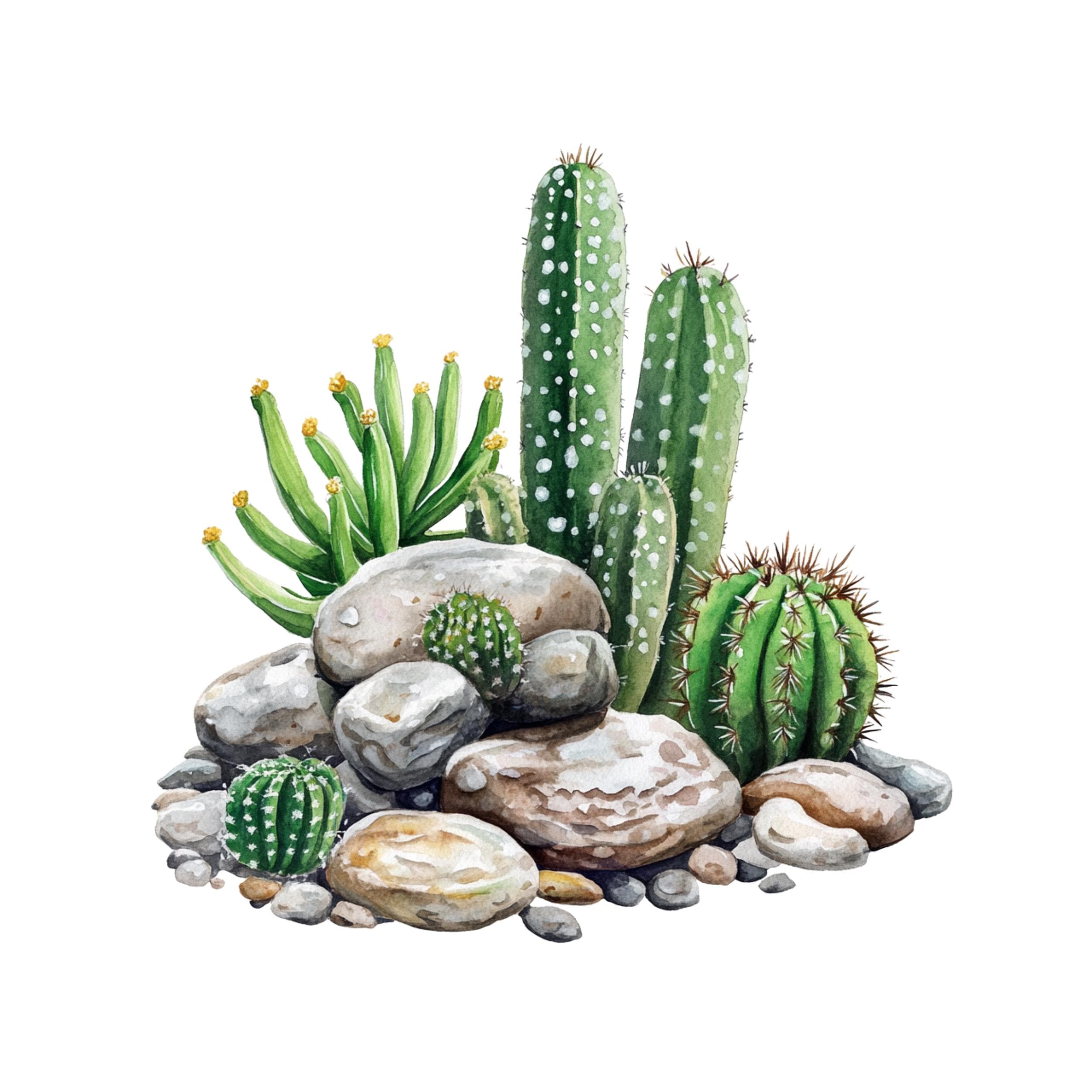 Cactus clipart Rocky Garden Clipart, Cactus Watercolor Desert clipart ,Cactus on stone, cactus design, desert scene,cactus png ,Stone Garden - image 3